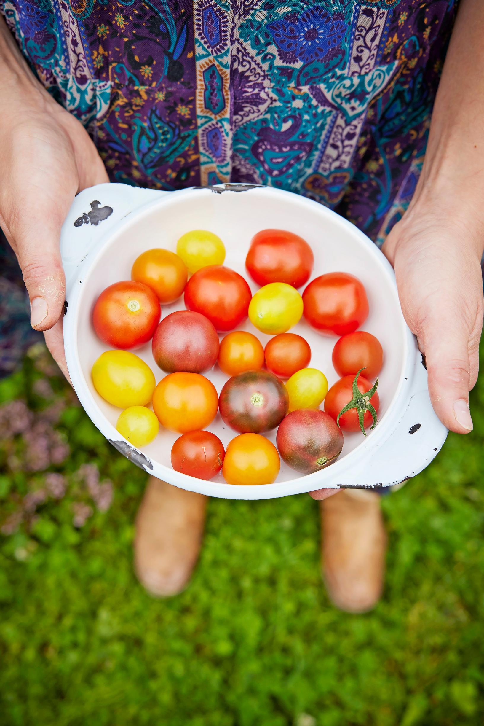 cherry tomatoes in a bowl