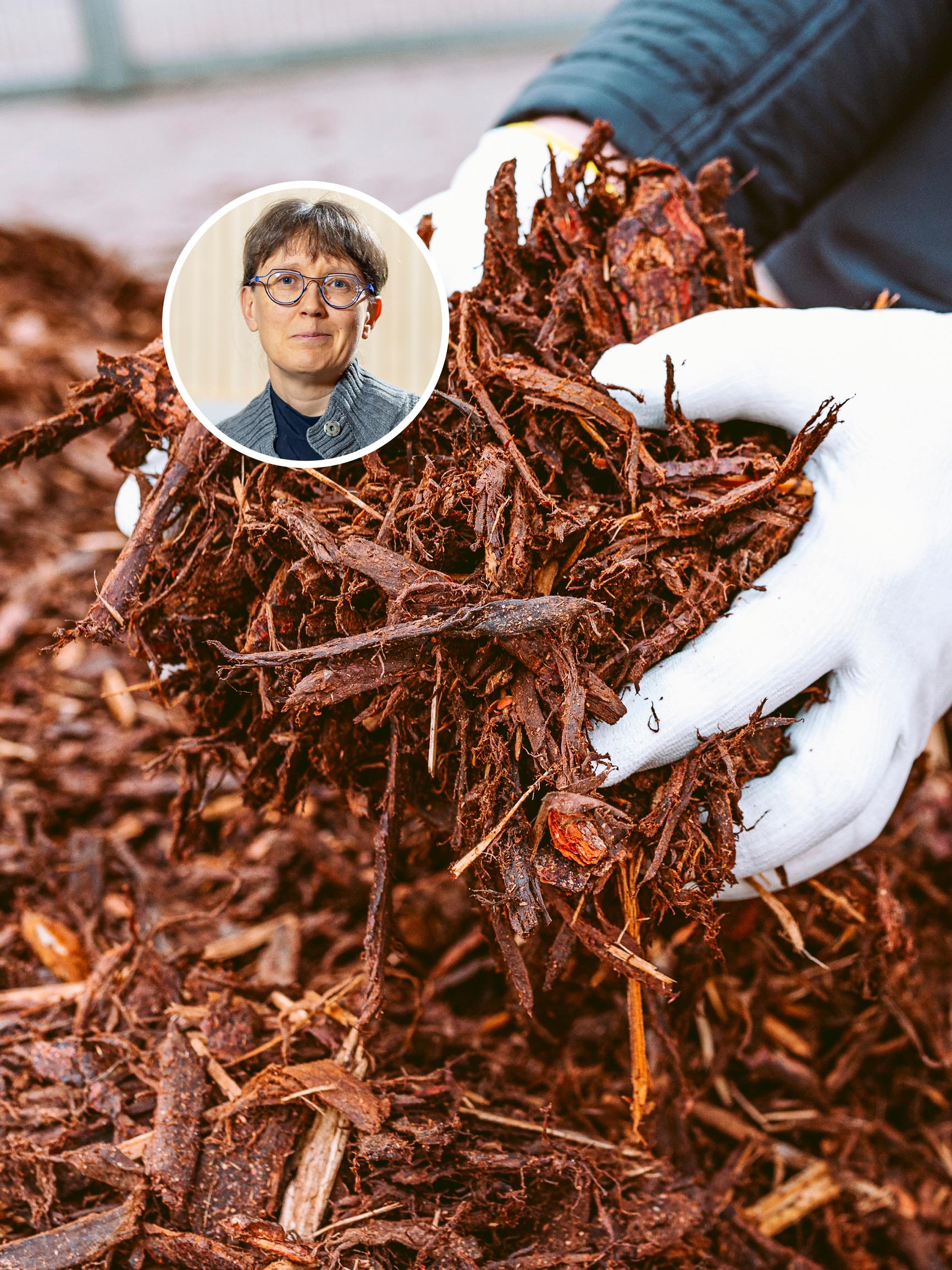 Bark mulch doesn’t always work and can even be harmful—an expert suggests alternatives