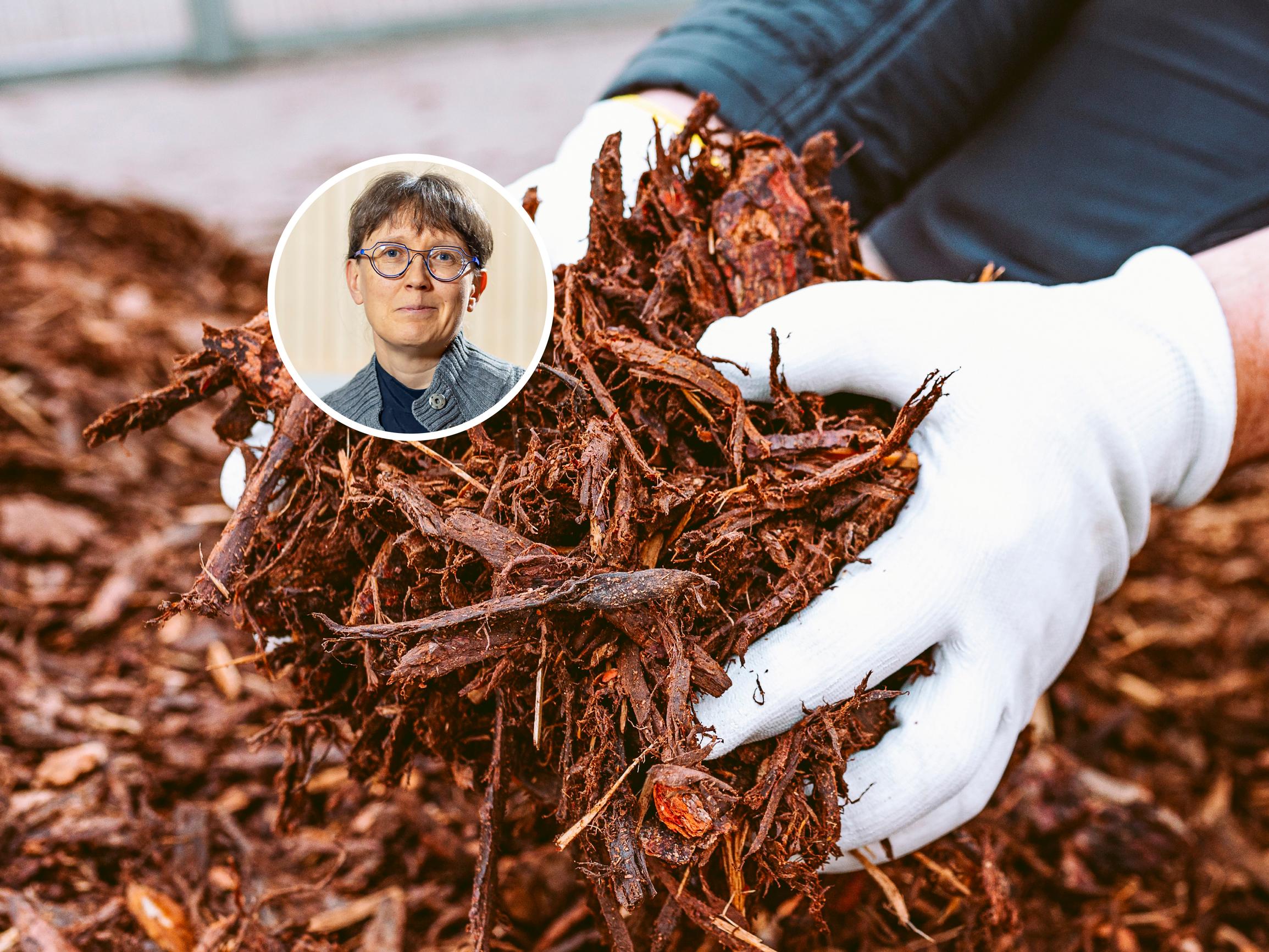 Bark mulch doesn’t always work and can even be harmful—an expert suggests alternatives