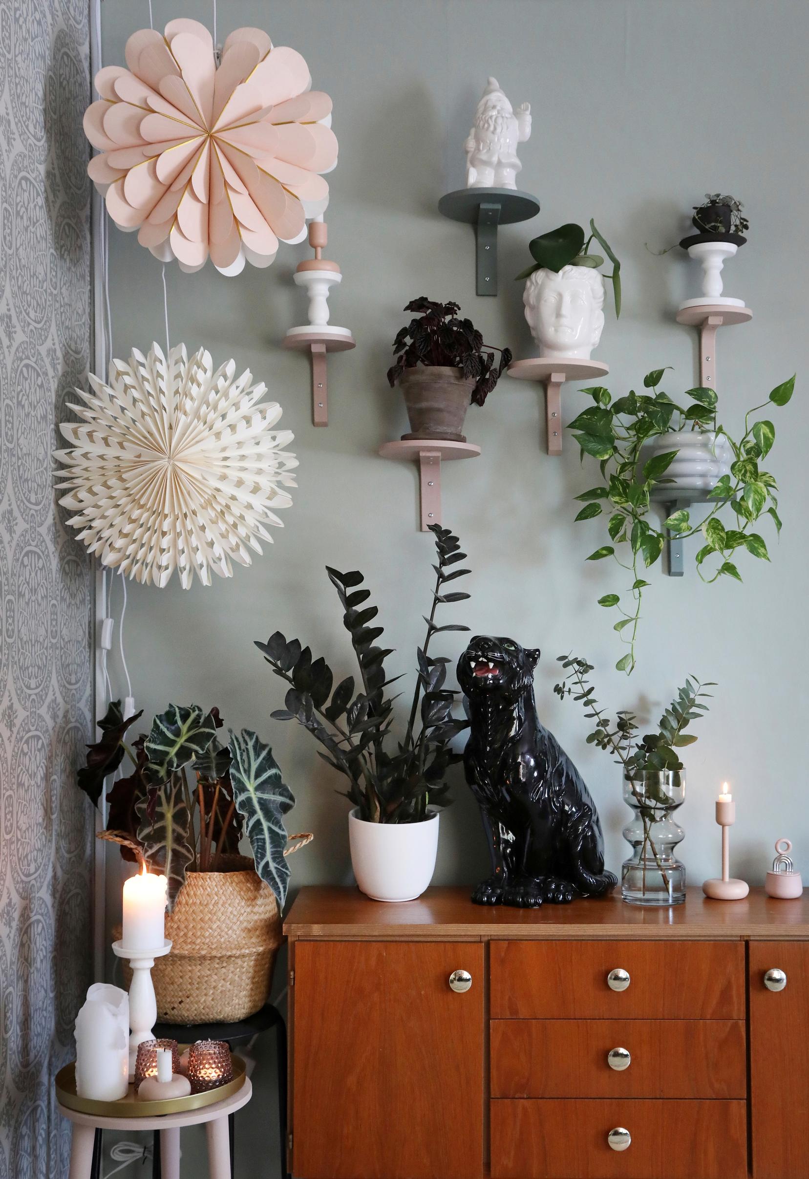 Houseplants on top of the sideboard and on wall shelves