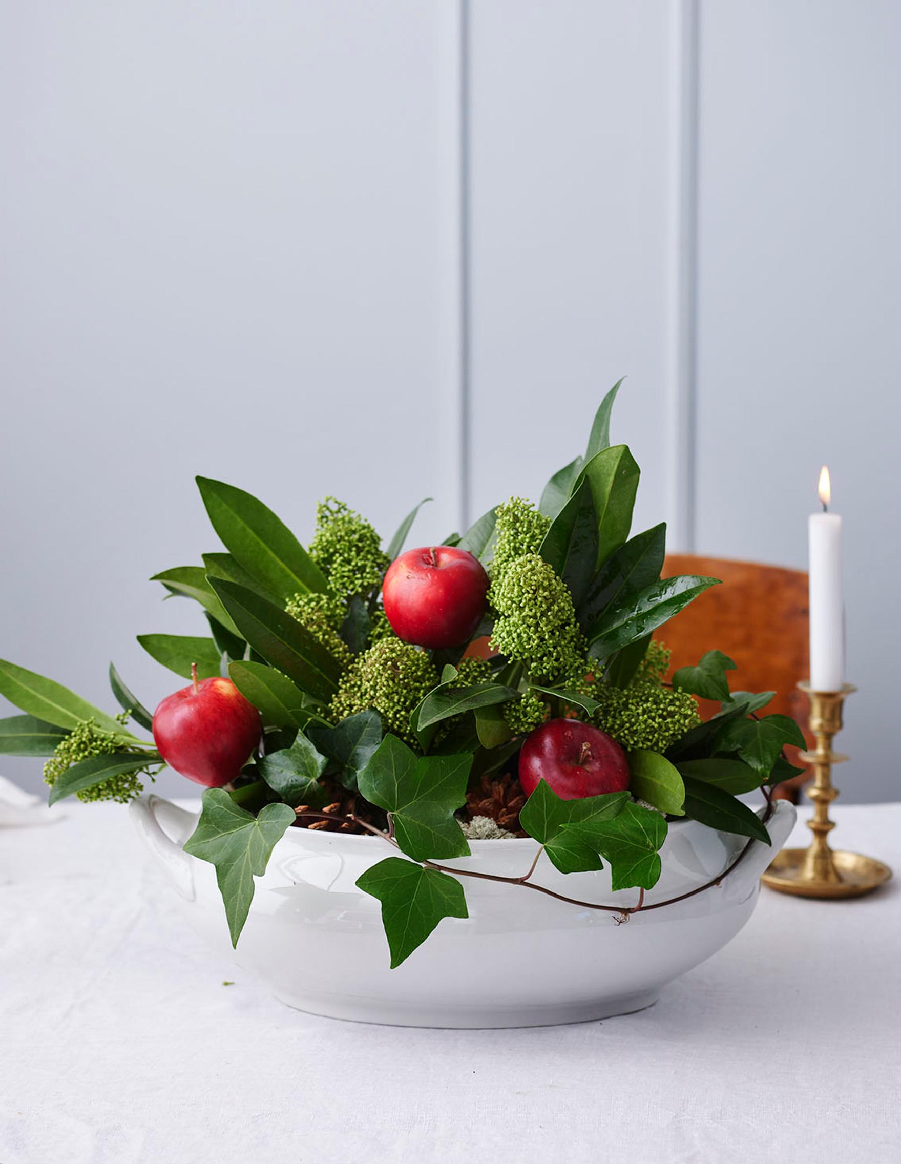 Skimmia, apples, and ivy in an old stock pot.