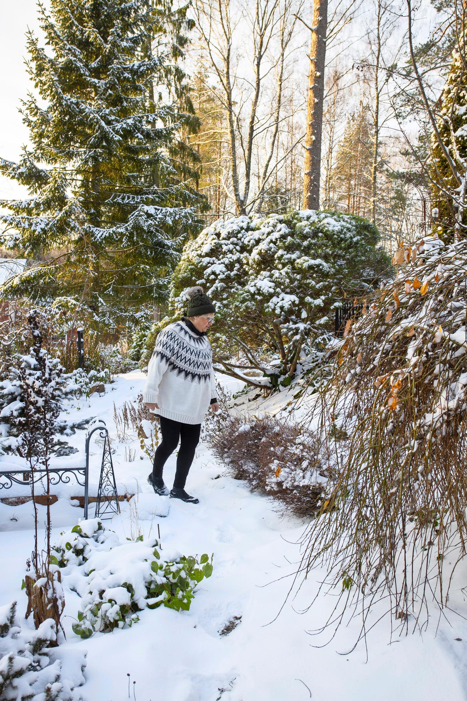 Nina has also pruned the 30-year-old mountain pines to thin them.