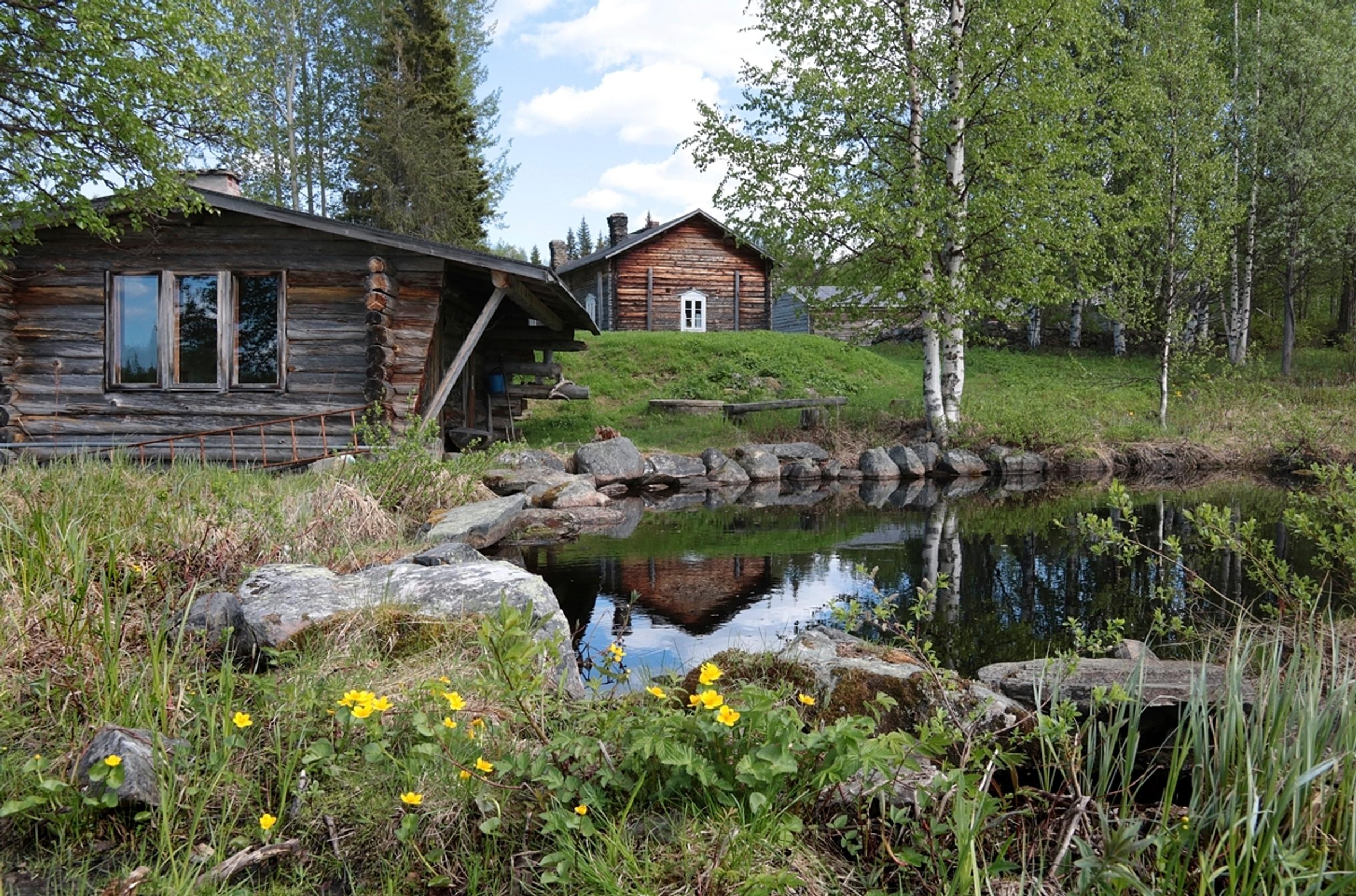 Home museums in Finland: Särestöniemi Museum