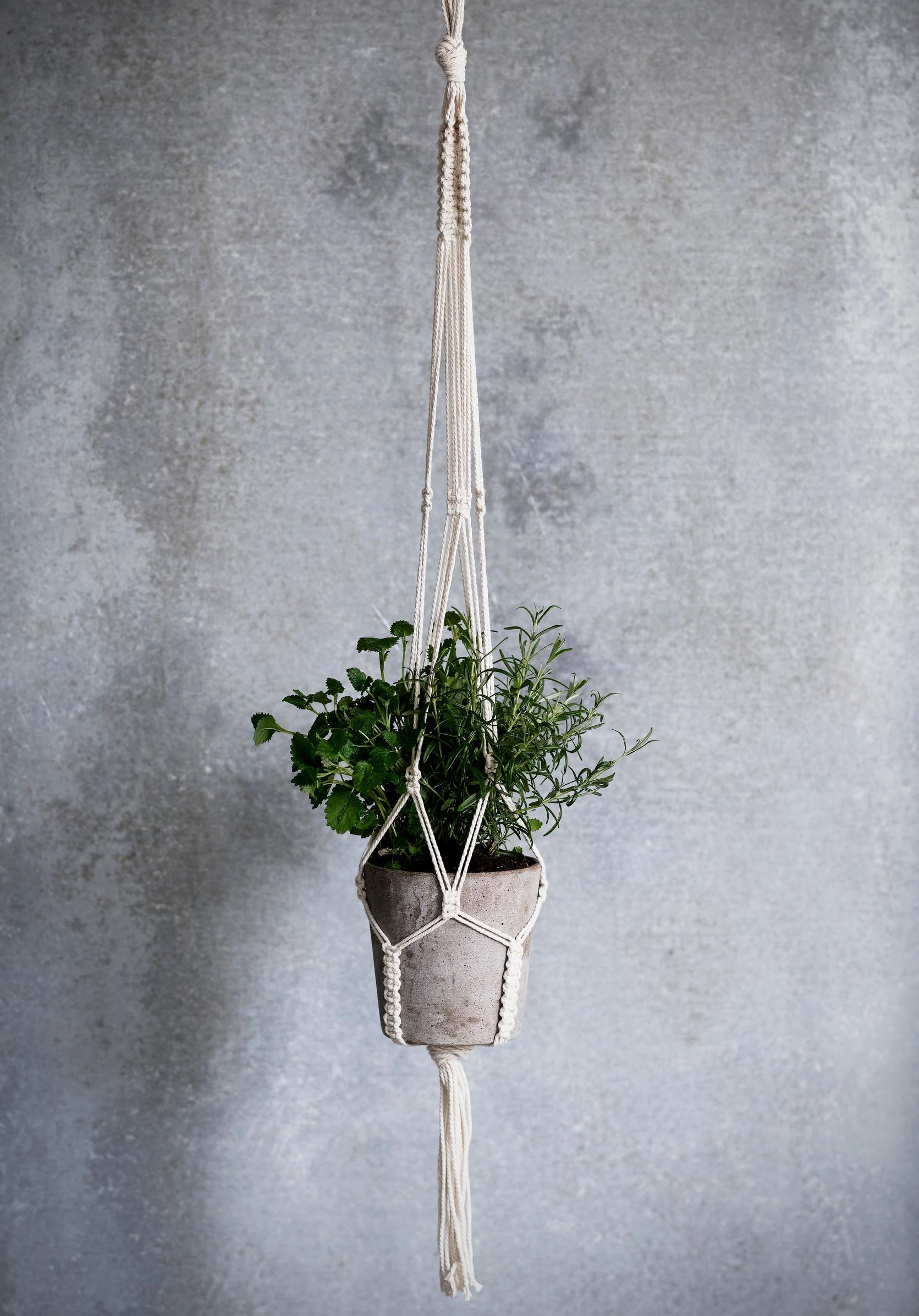 Finished macrame plant hanger