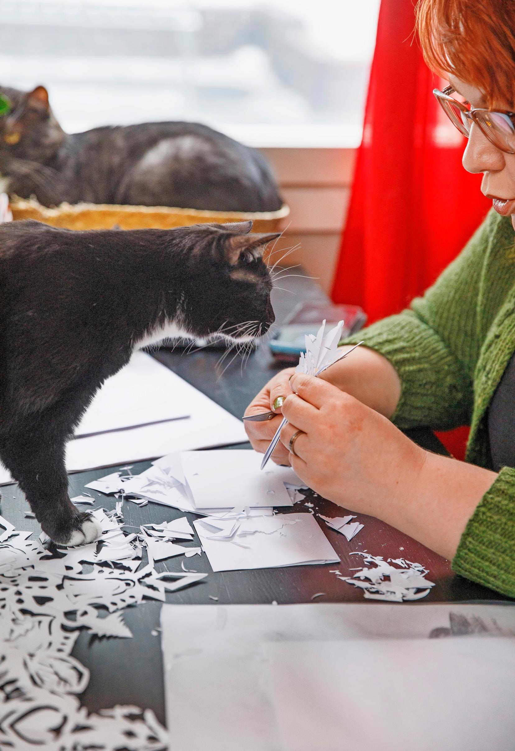 Venla cutting a paper star, cat watching.