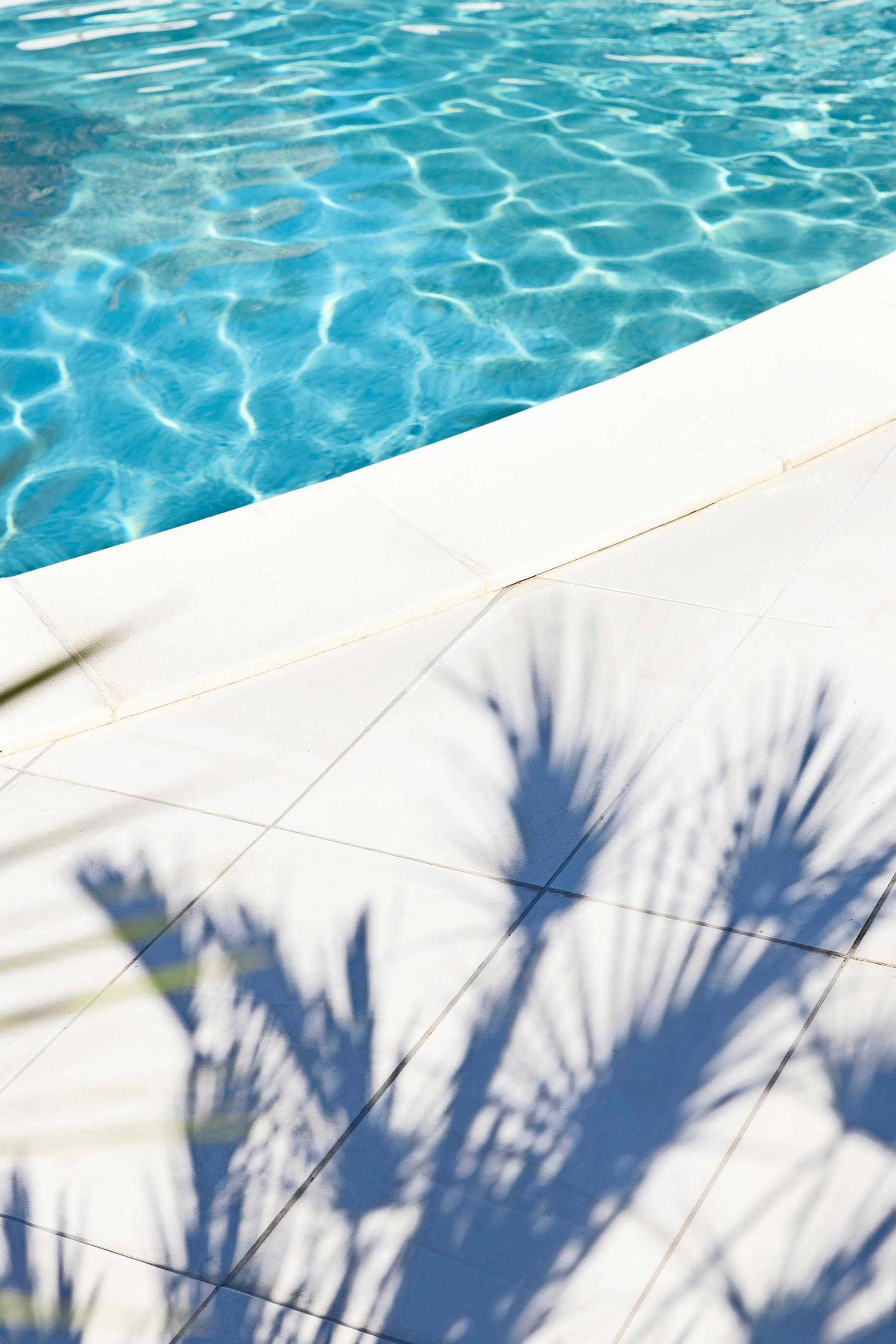 A plant’s shadow falls on the stone coping around the pool.
