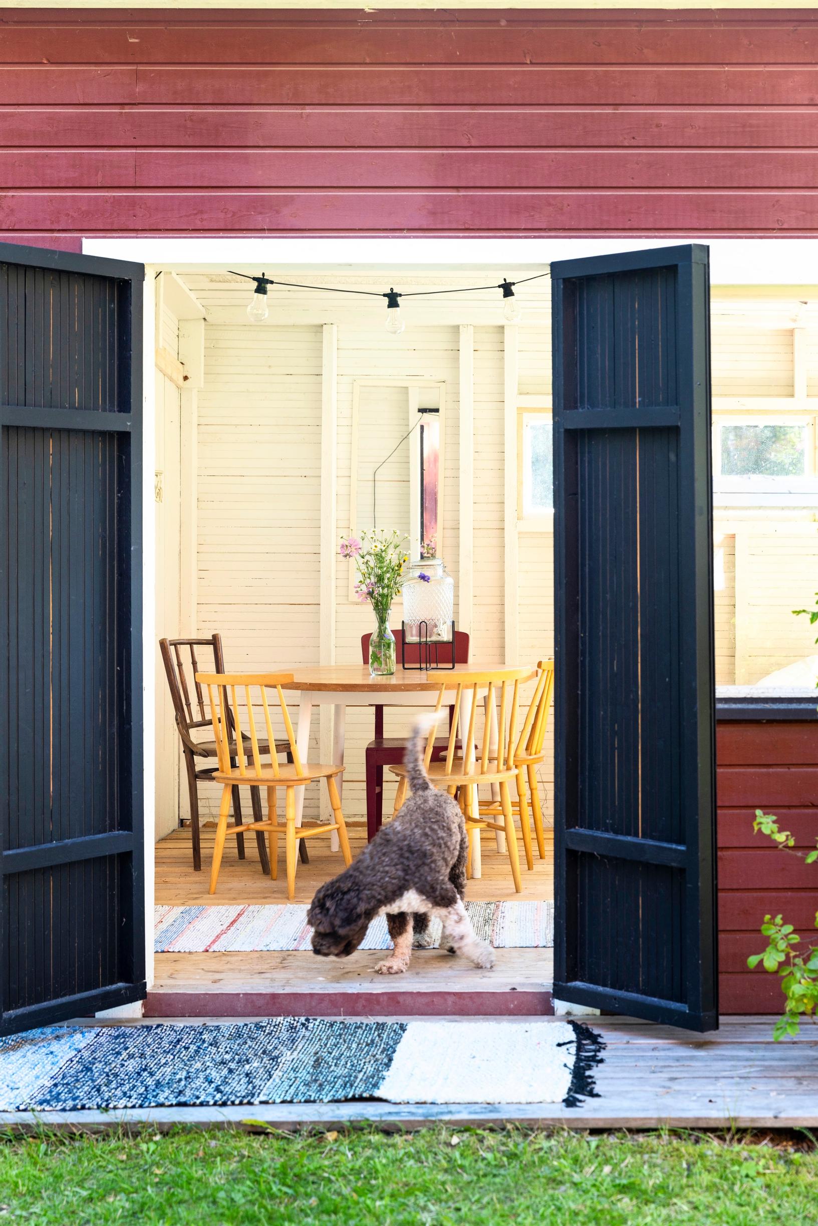A dog in front of open doors