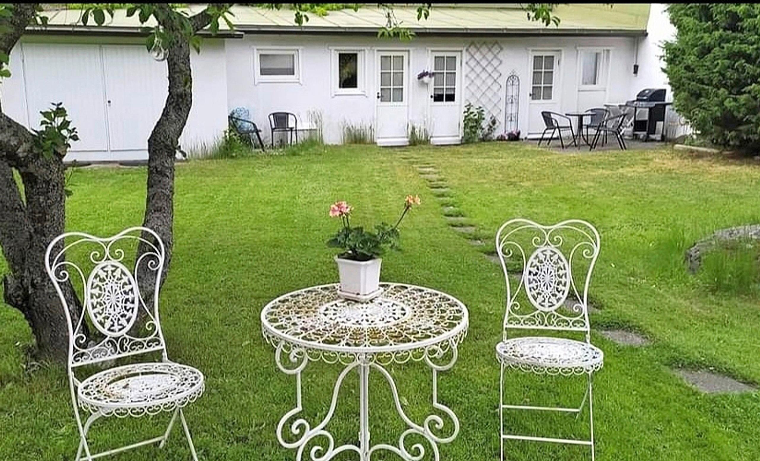 The pool site was originally a lawn with a branching tree and a rock.