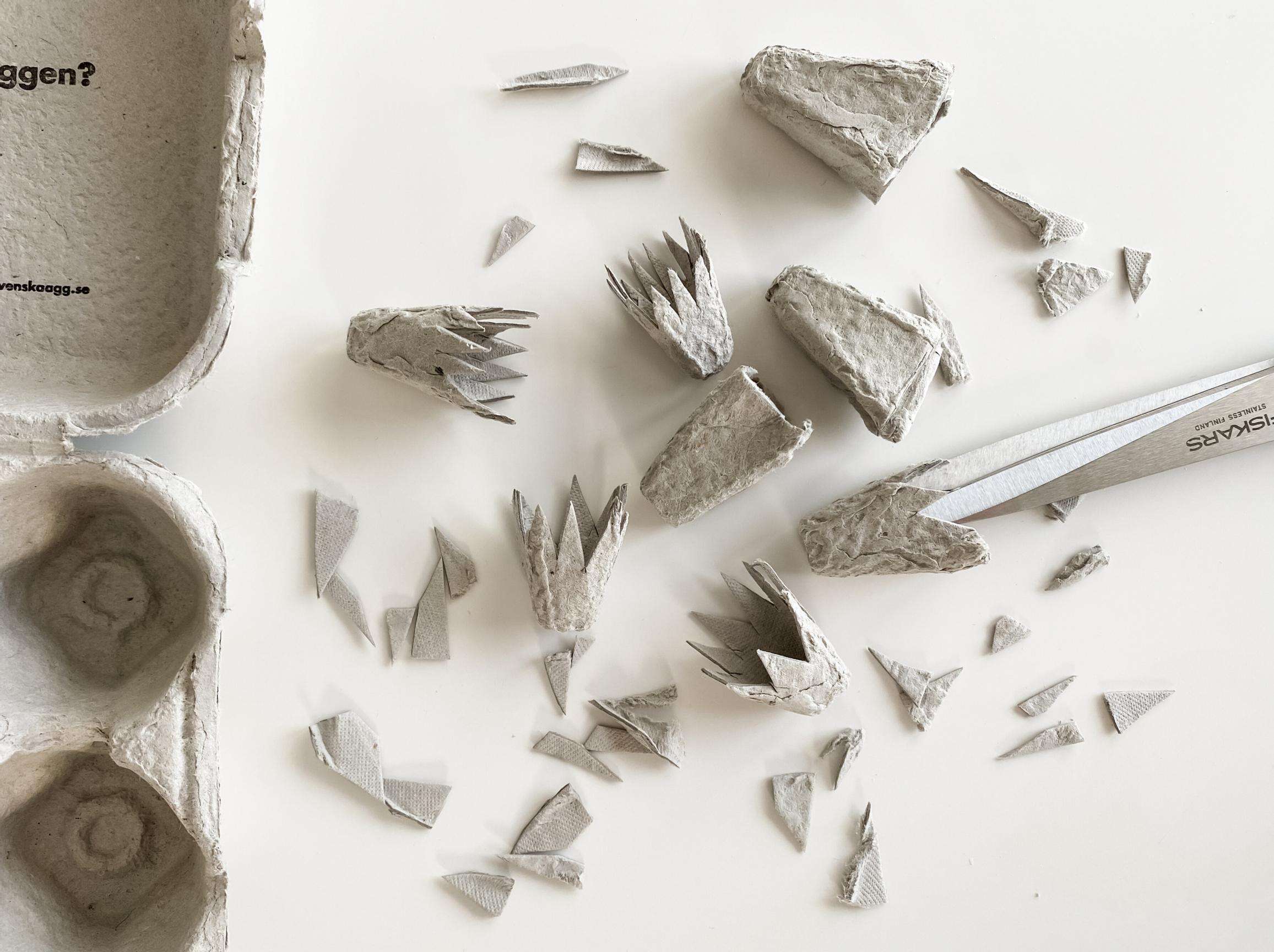 How to make paper daffodils: Cut egg carton sections