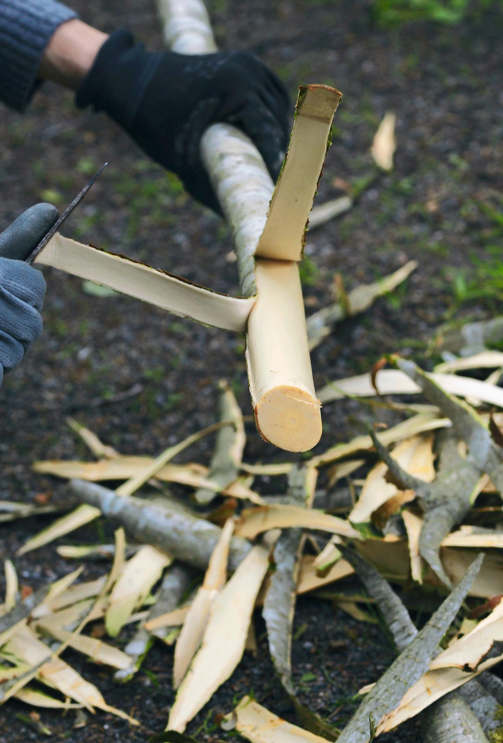 Homemade fire starters: removing bark from the branch