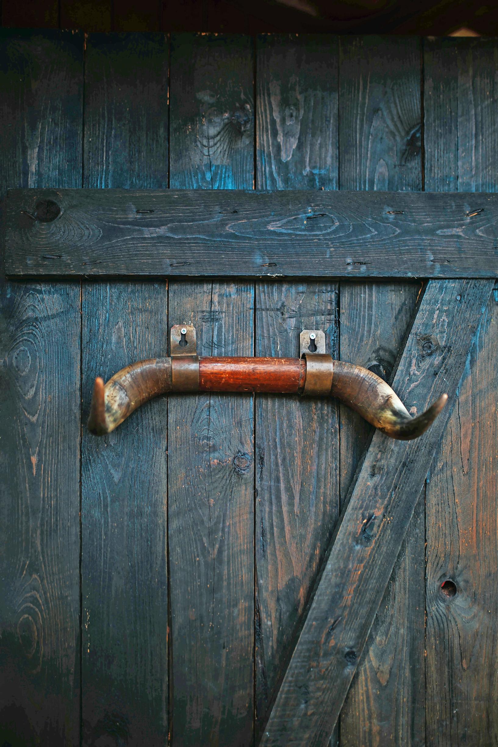 A coat rack made from bull horns