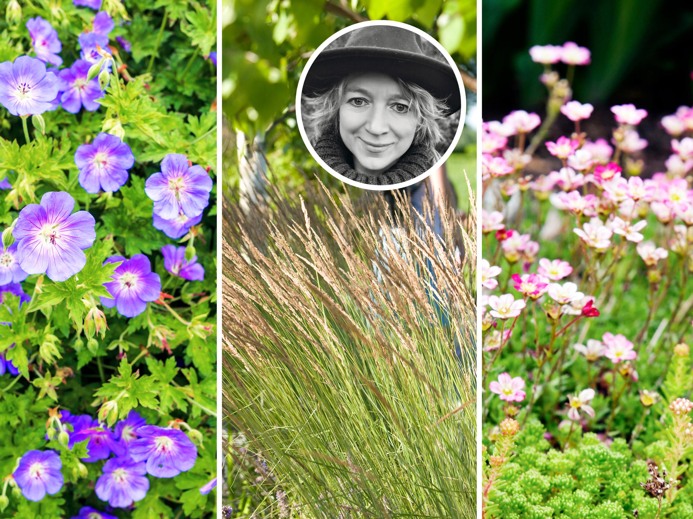 From a windy yard to a sheltered oasis: soaking in the sea views from the hot tub and grilling behind the wall