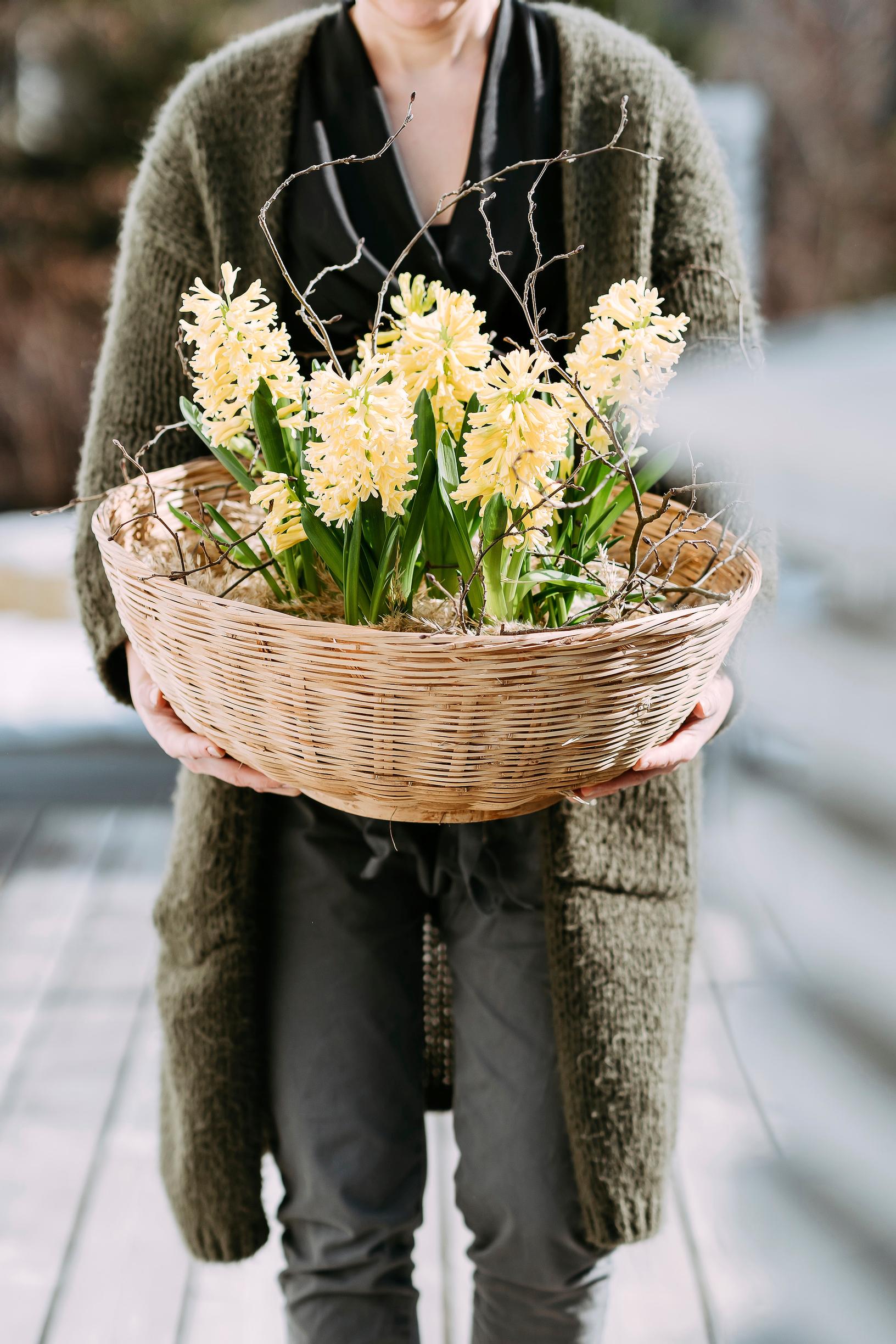 Hyacinth arrangement ideas: 4 eye-catching pots for your garden or balcony