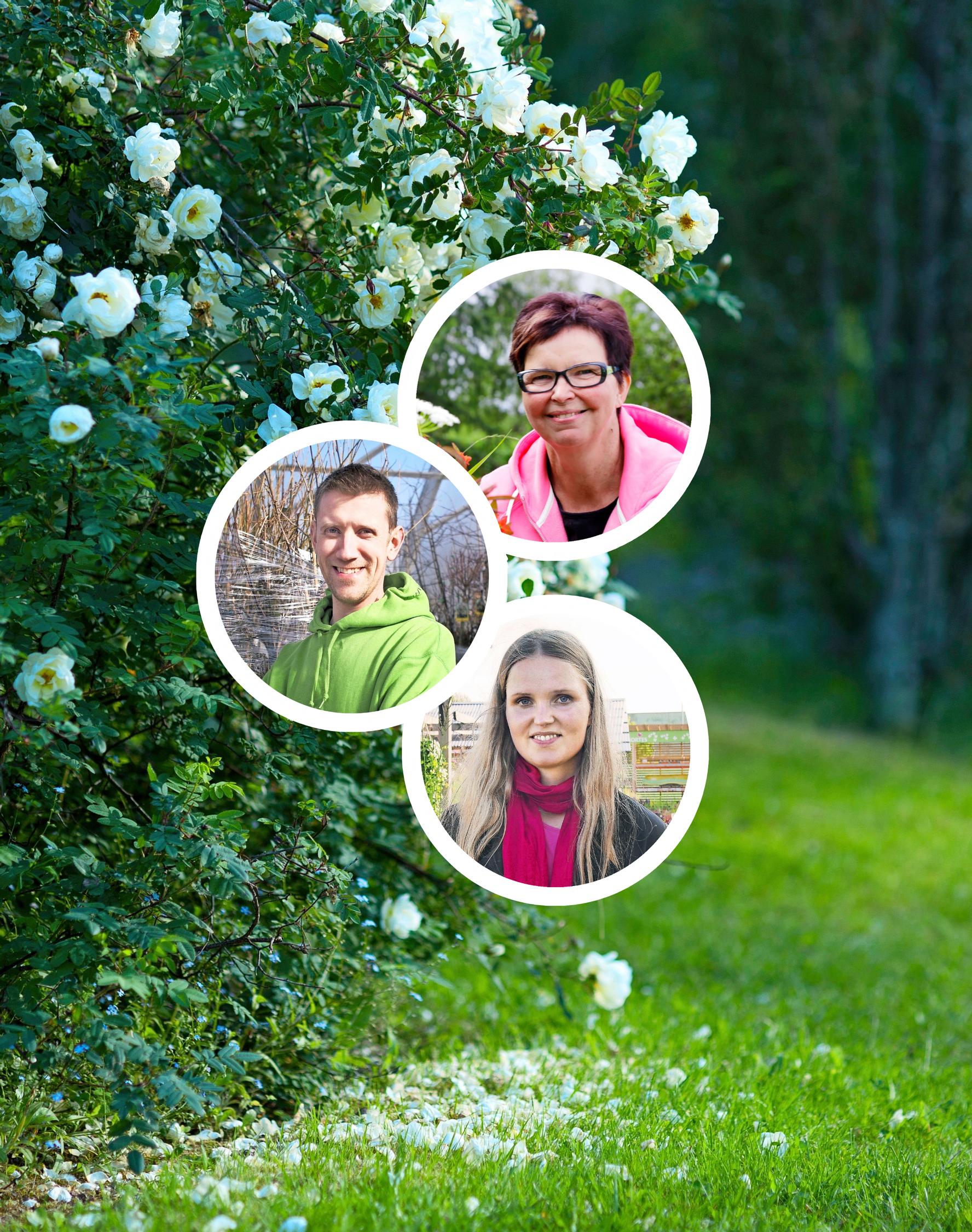 9 dryness-loving shrubs and trees: nursery pros share their favorites