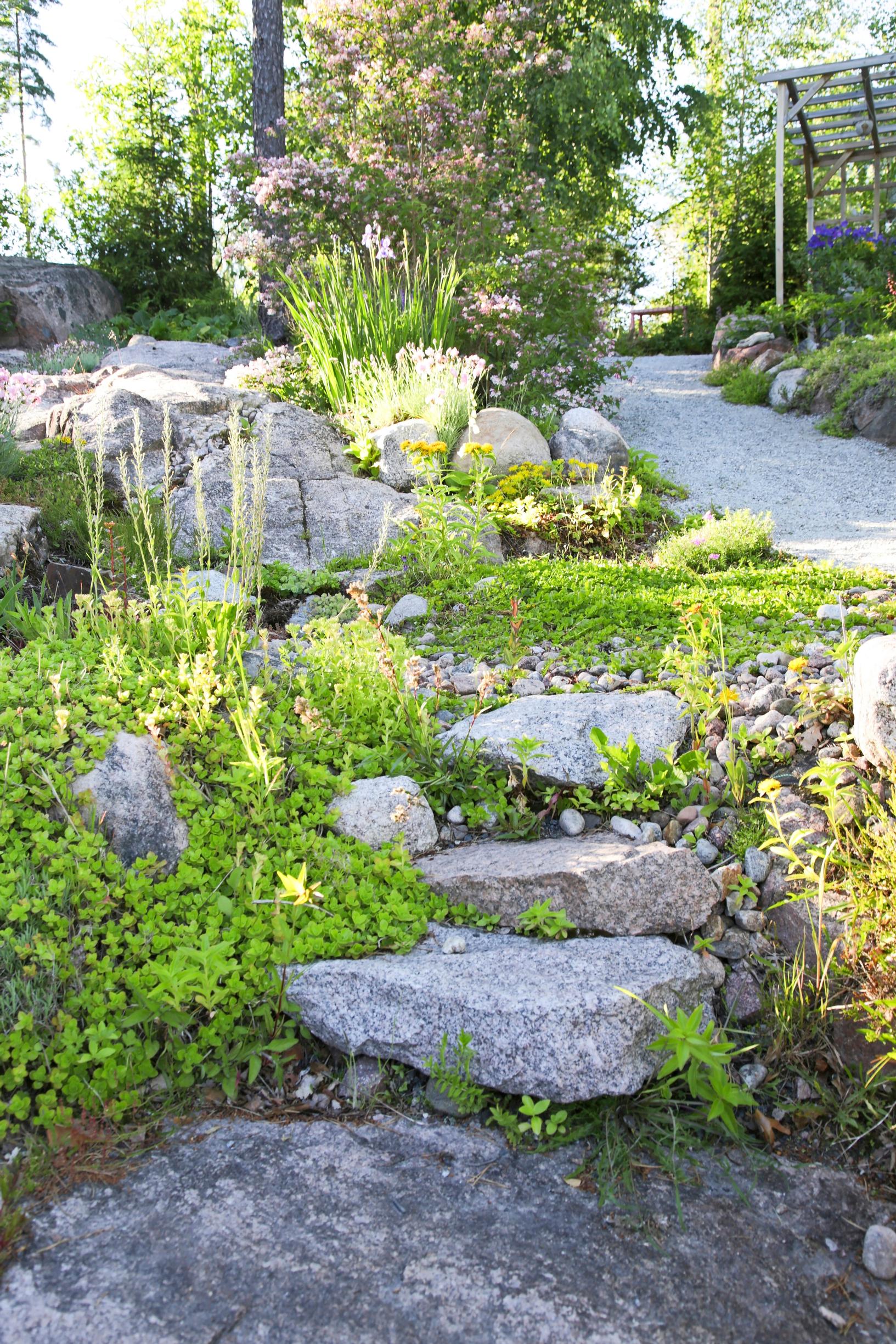 Steps in the garden: natural stone
