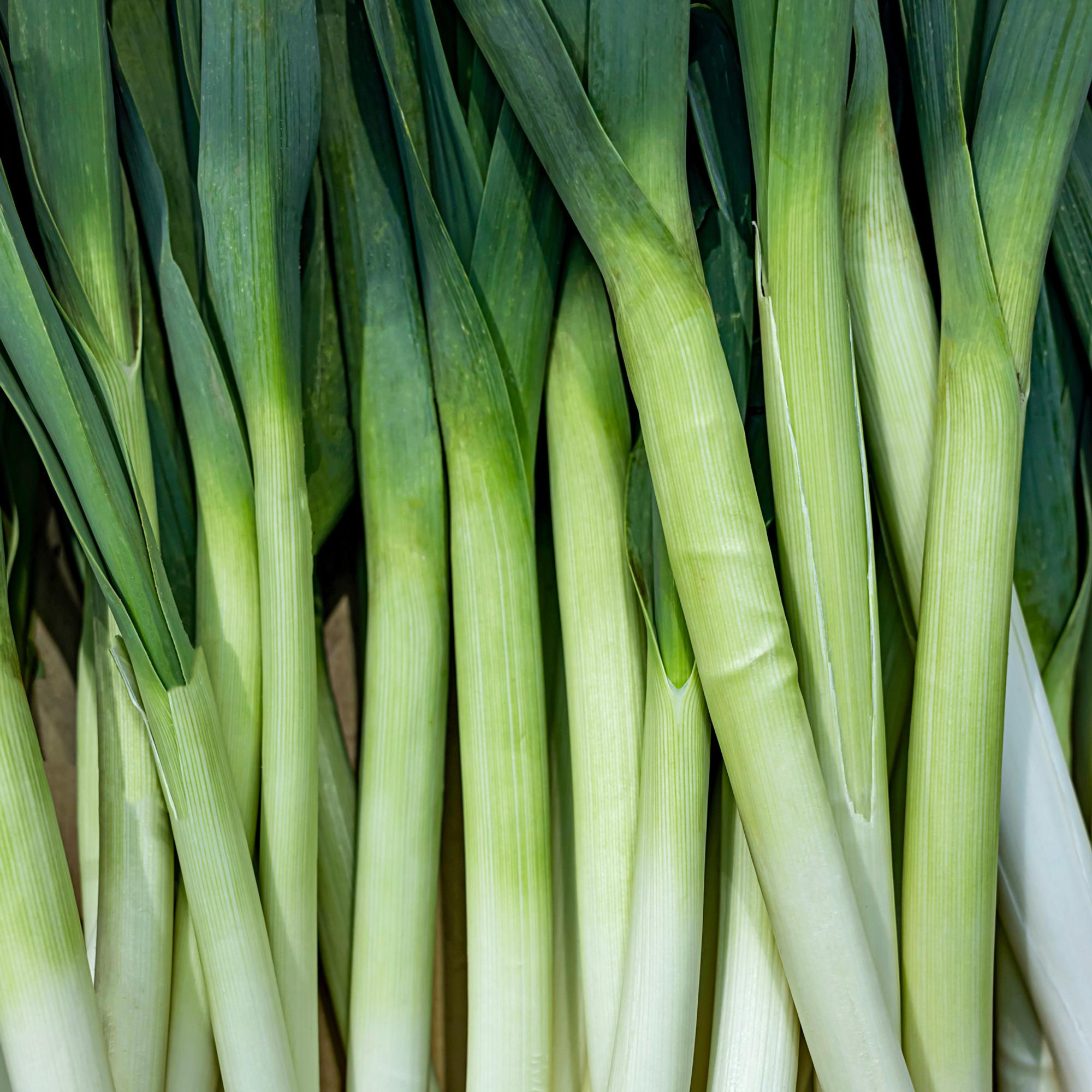 Growing leeks rewards you with tender harvests—succeed with these tips