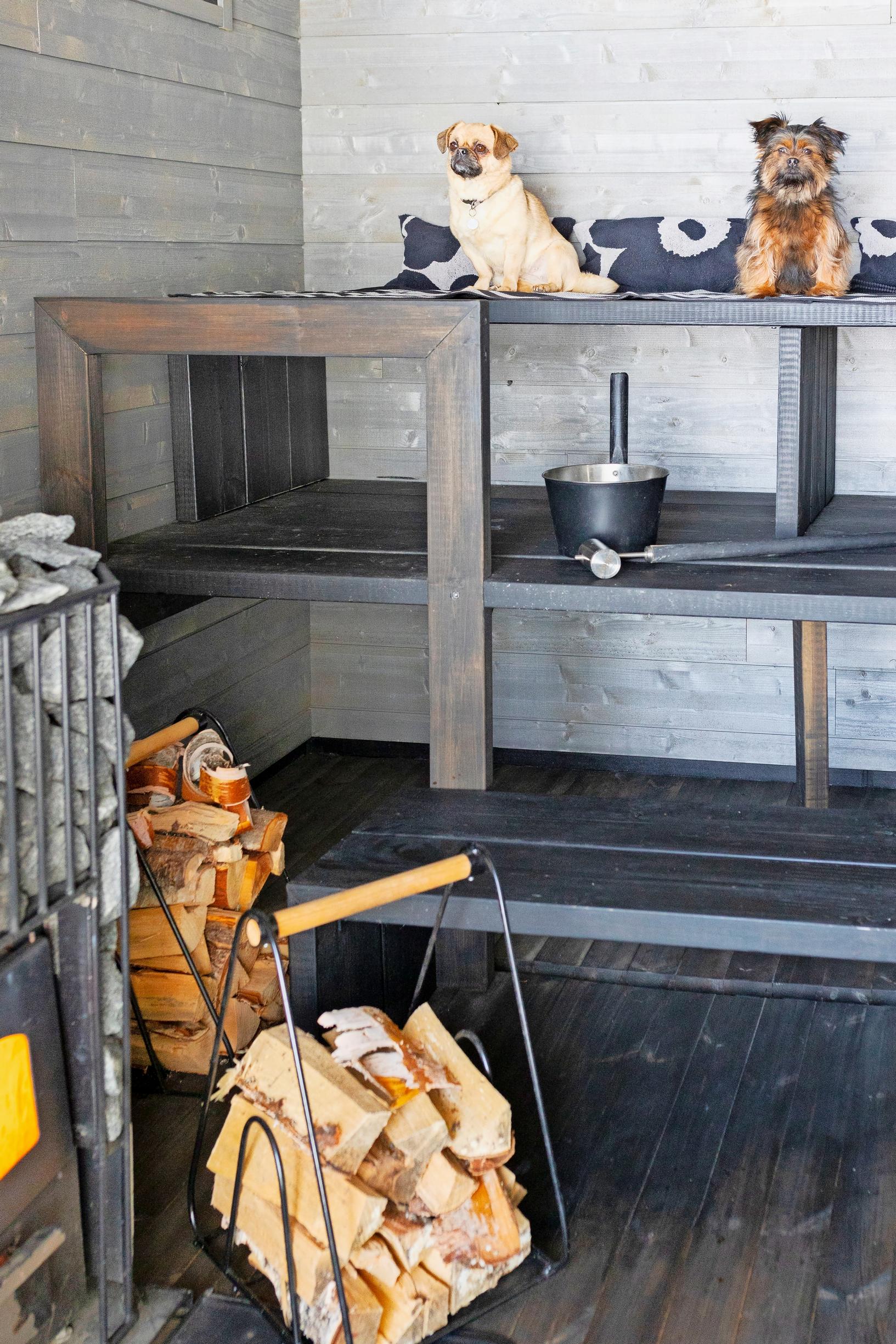 Two small dogs on dark sauna benches, log holder, sauna bucket, and stove
