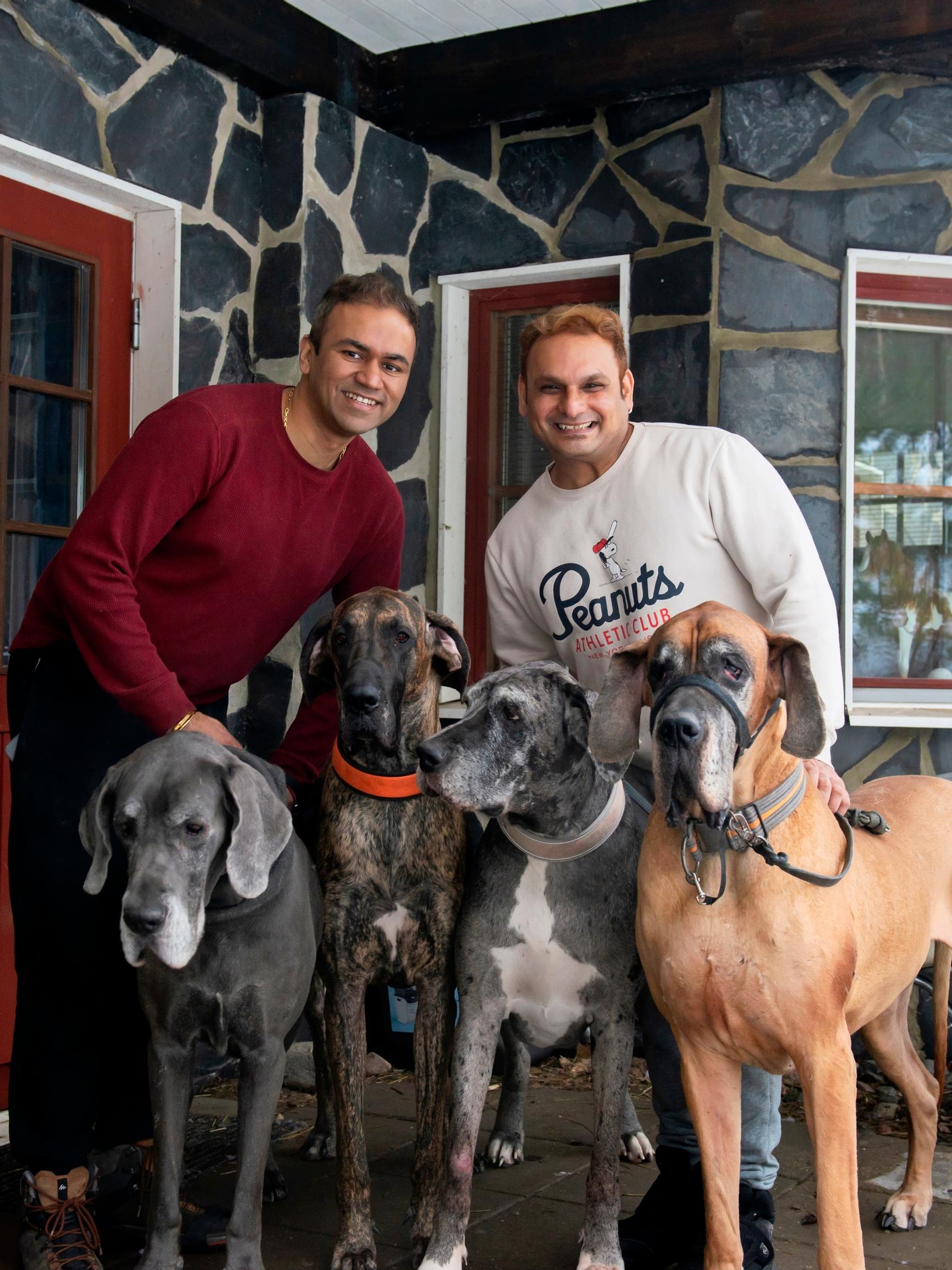 Where animals get their own floor: inside Harshal and Lorenzo’s 42-pet log house