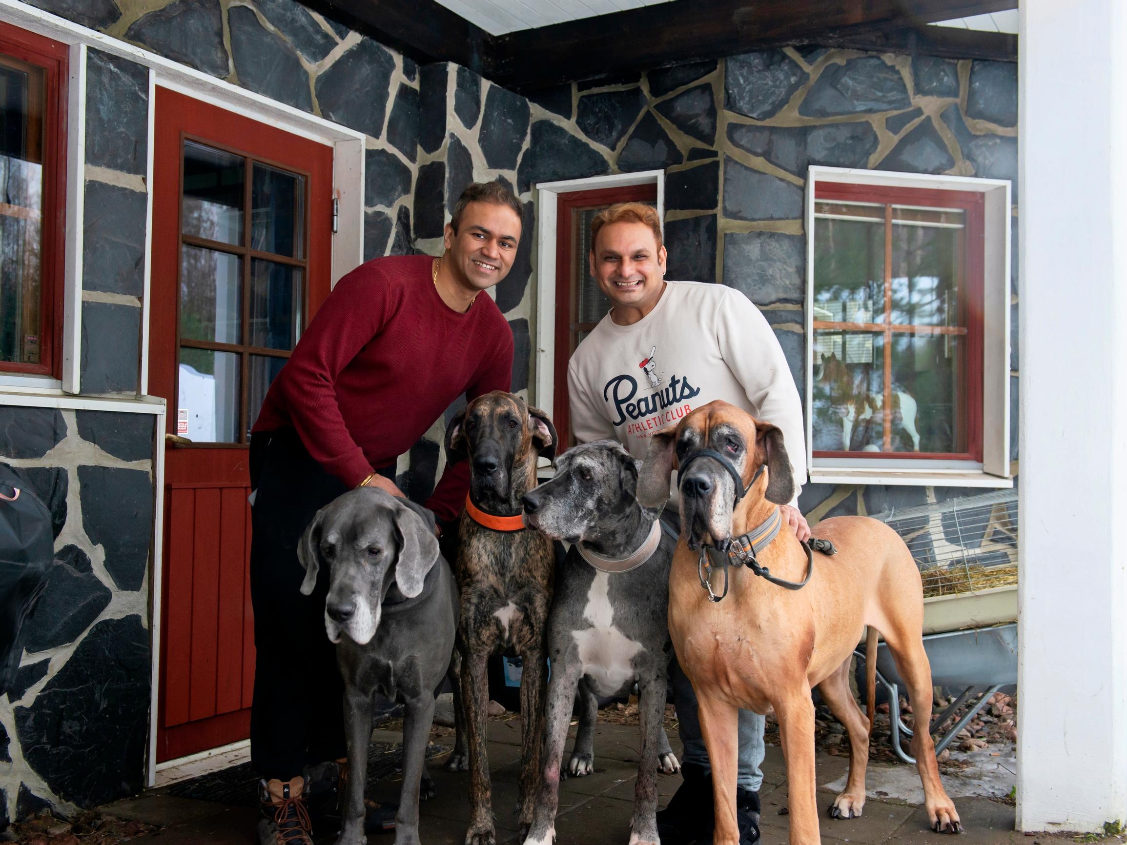 Where animals get their own floor: inside Harshal and Lorenzo’s 42-pet log house
