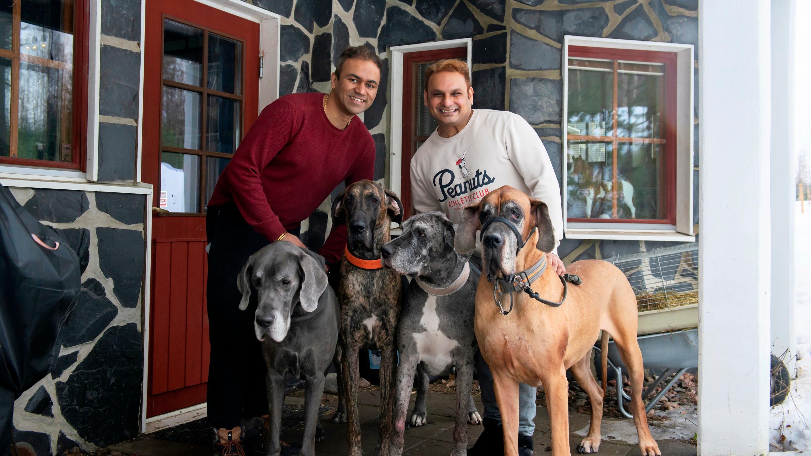 Where animals get their own floor: inside Harshal and Lorenzo’s 42-pet log house