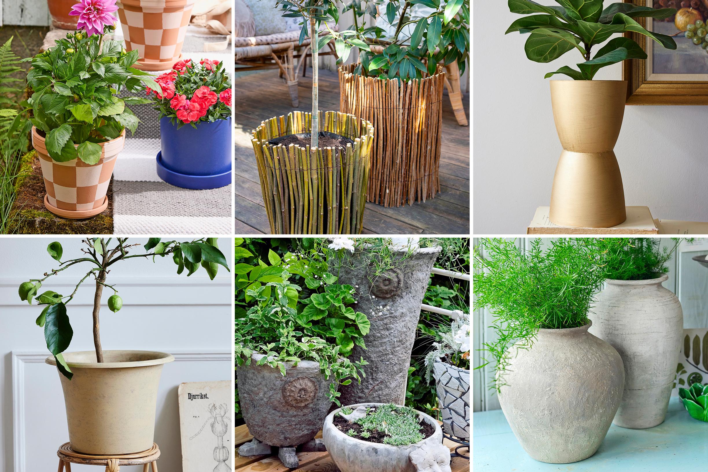 Planter makeover ideas