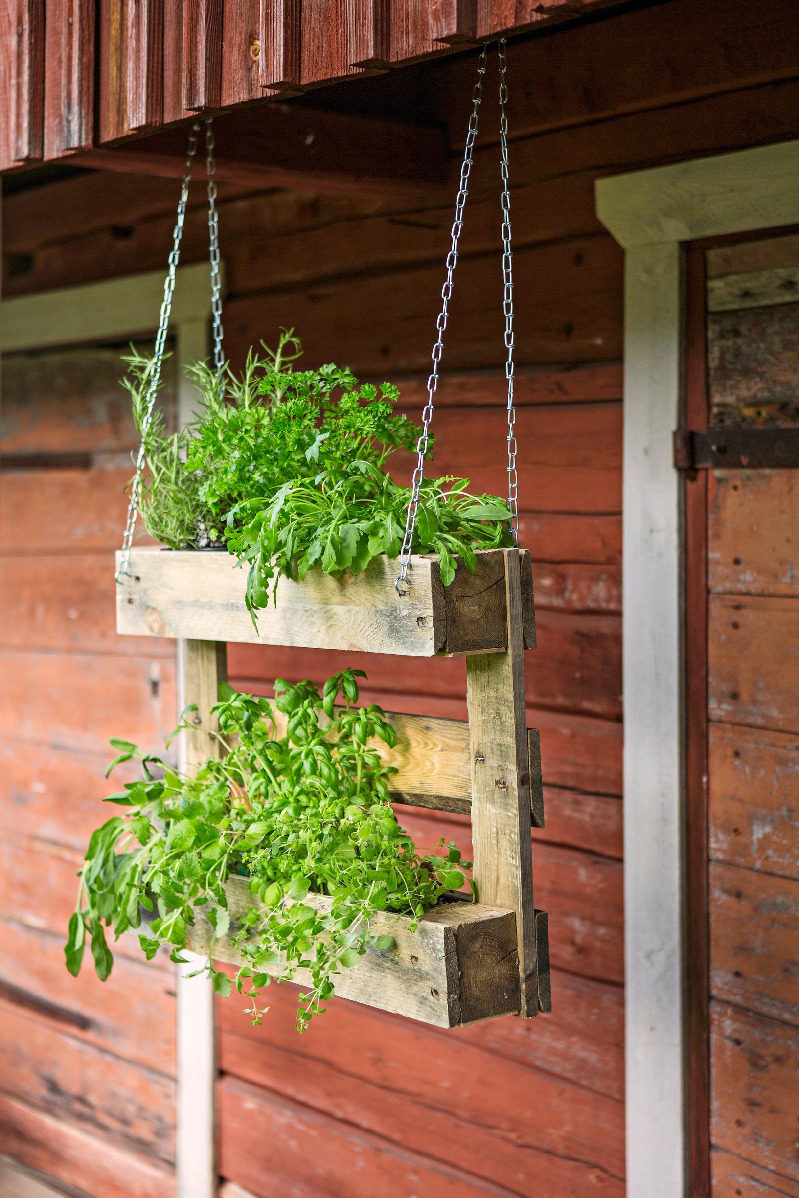 kitchen garden at the cottage: a hanging herb shelf