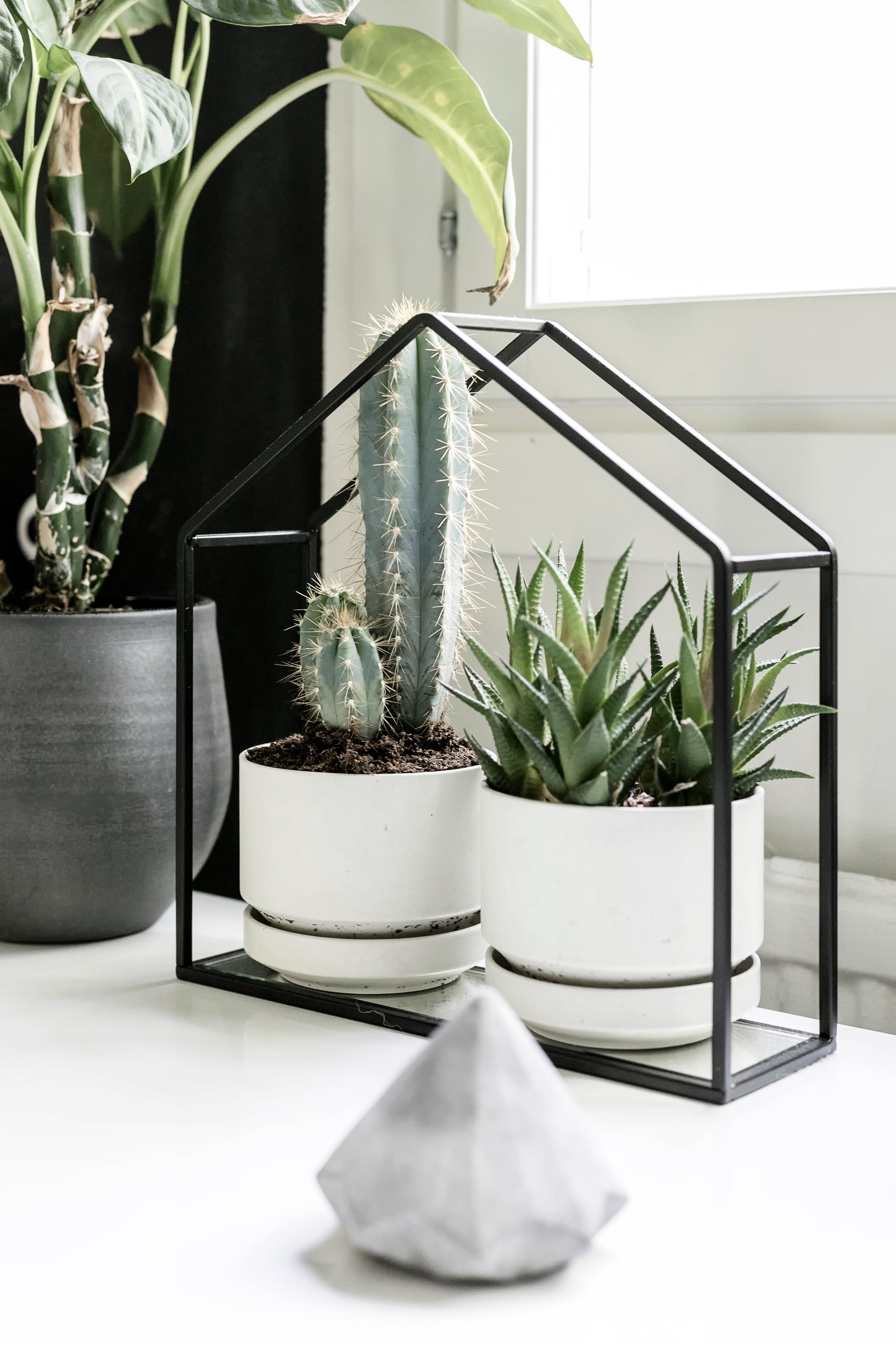 White Arabia planters