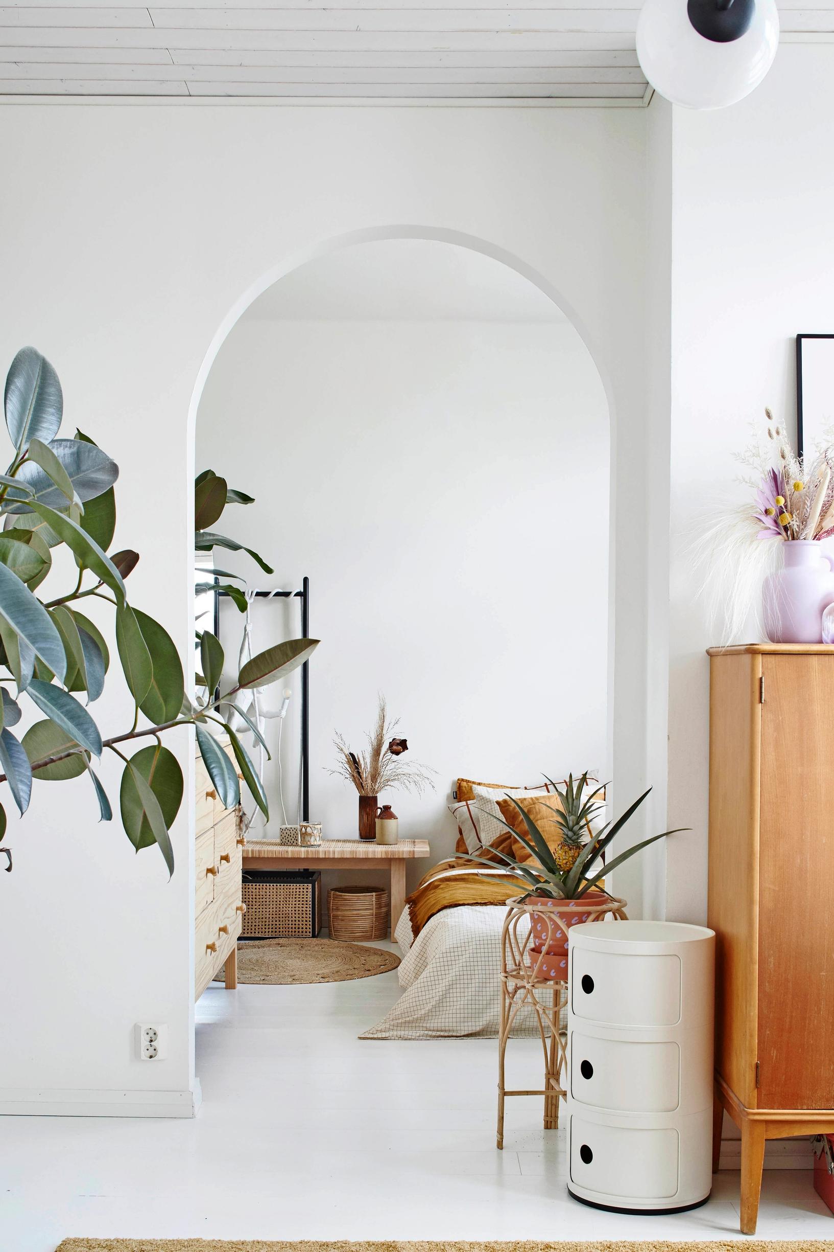 Arranging plants indoors: houseplants around an arched doorway