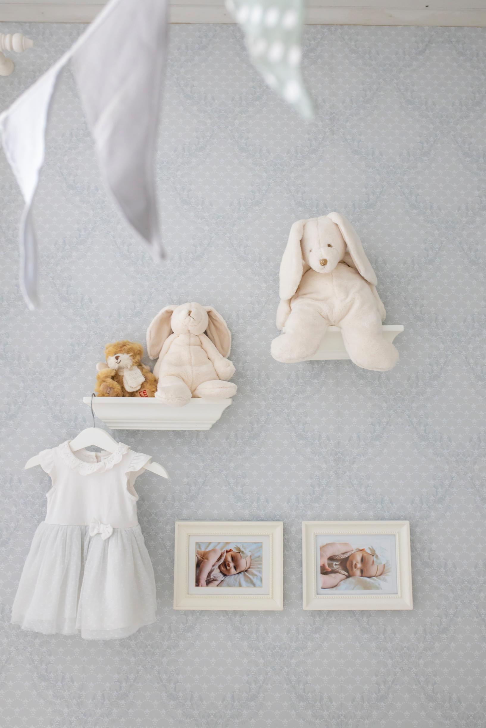 Plush toys arranged beautifully on the wall.