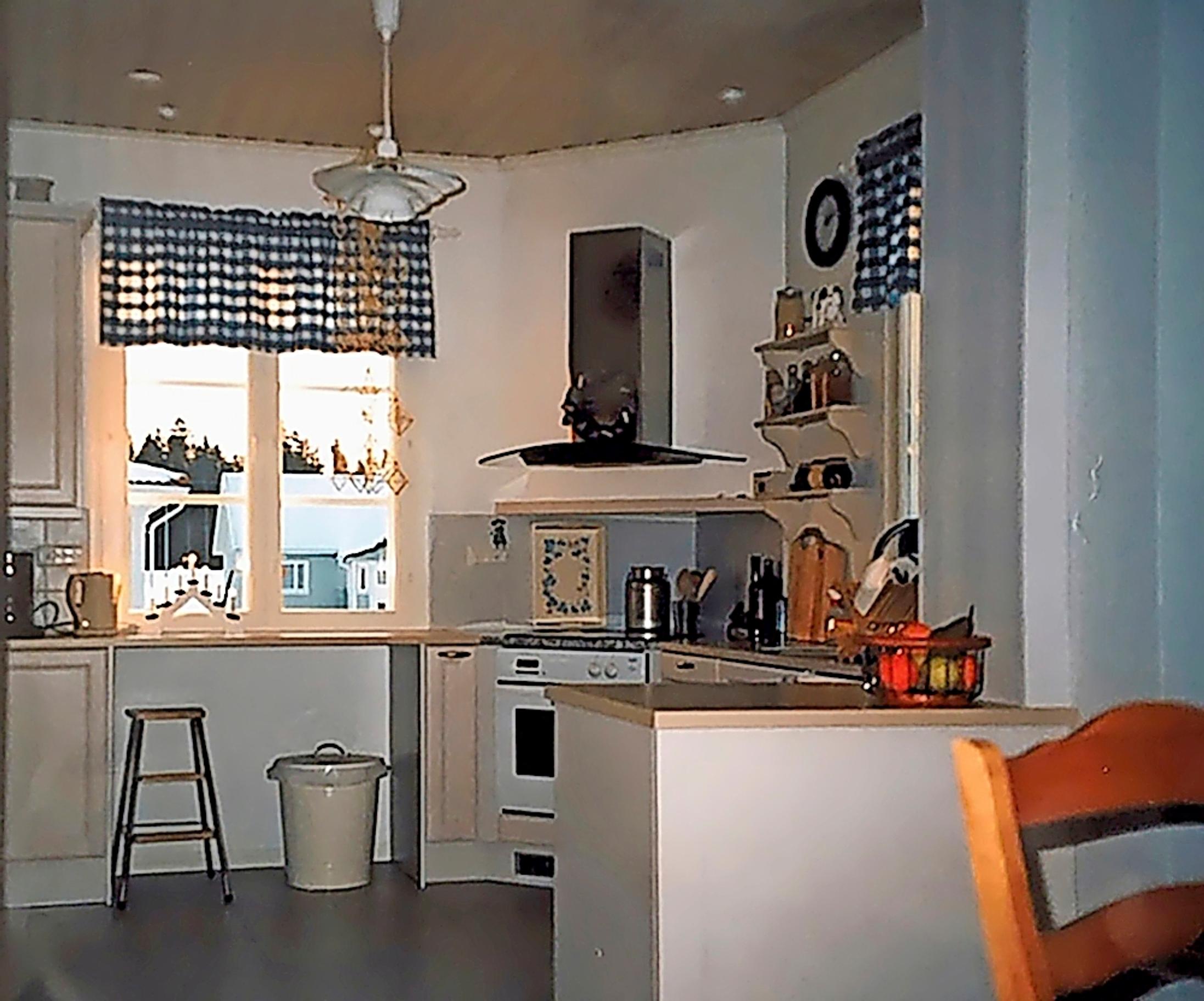 Kirsi’s kitchen before the renovation