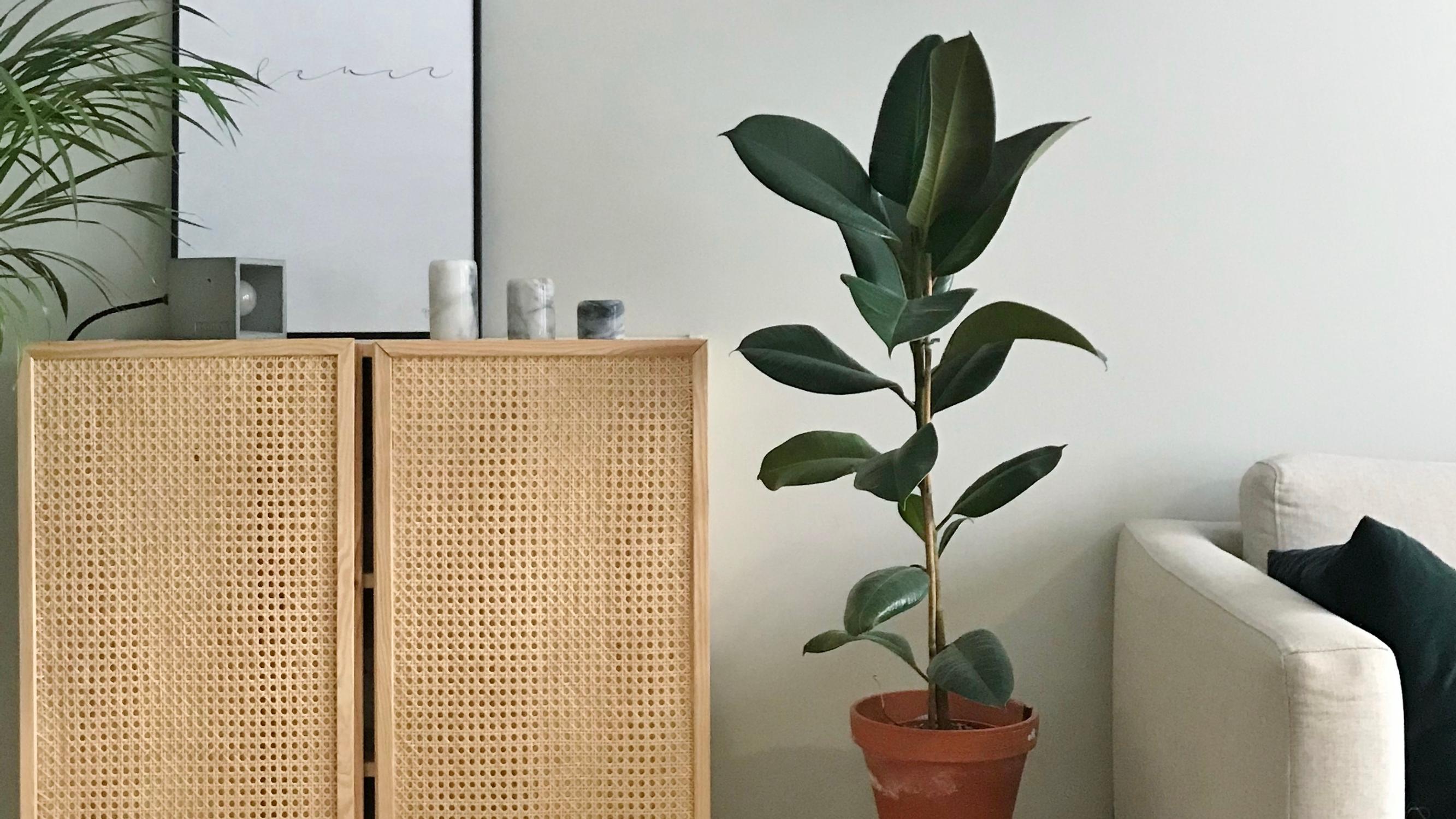 One cabinet, six imaginative transformations: discover these decorators’ creative tips for Ikea’s Ivar