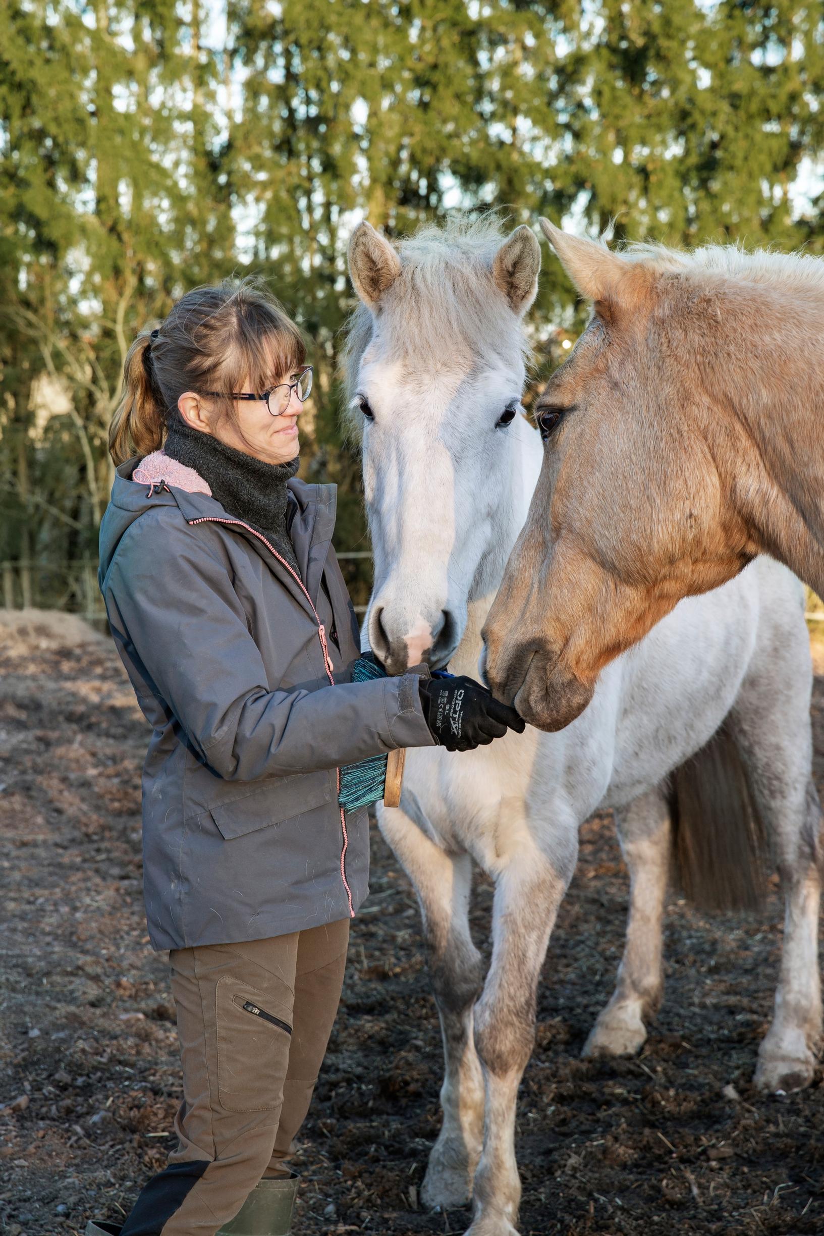 A woman with two horses sniffing her hands
