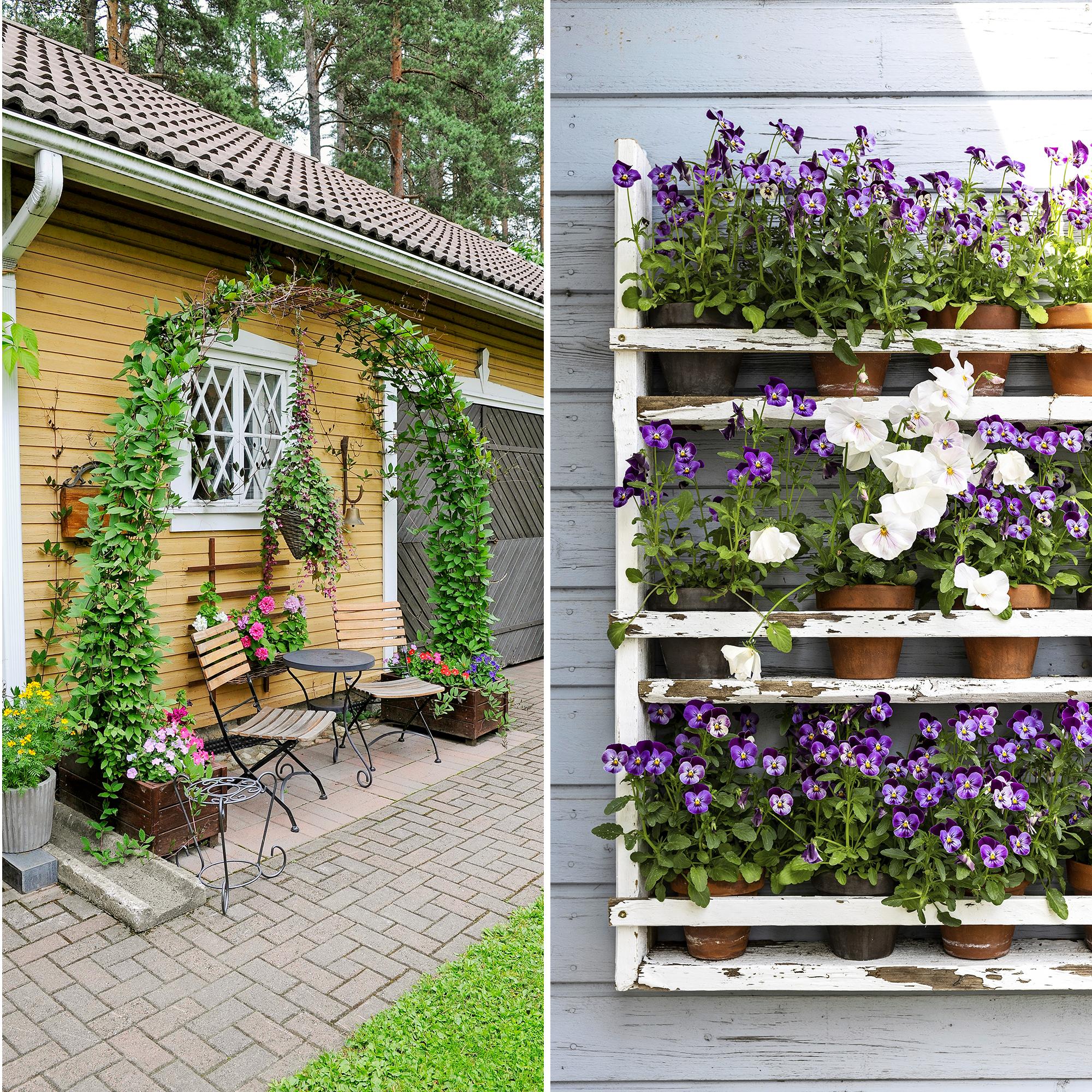 Turn a washing machine drum into a hanging basket—check out 10+ unexpected ideas for summer flower plantings!