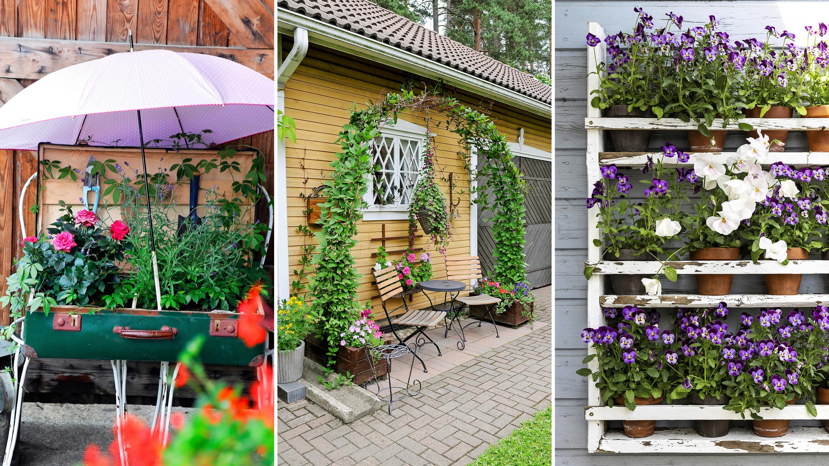 Turn a washing machine drum into a hanging basket—check out 10+ unexpected ideas for summer flower plantings!