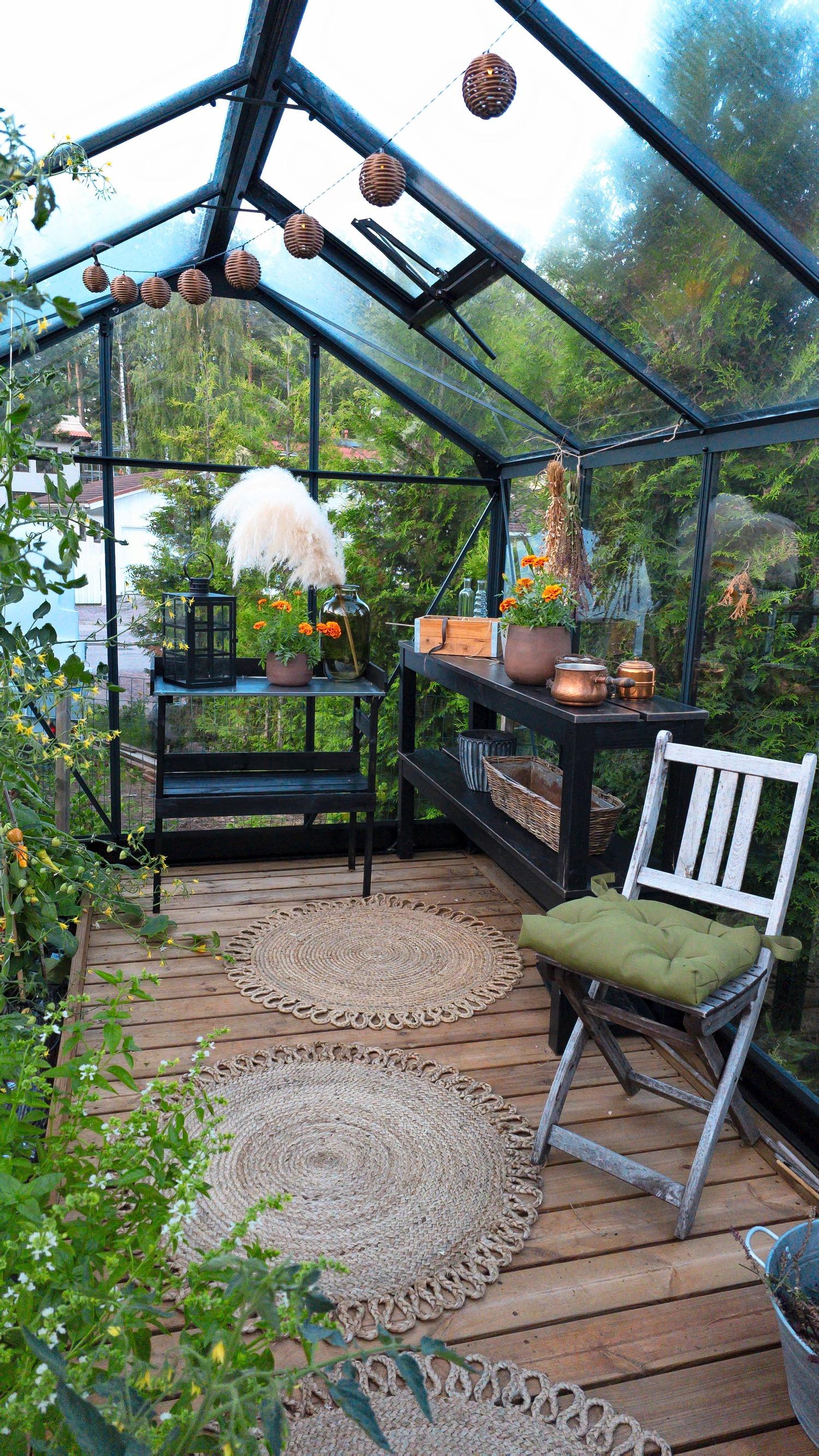 A greenhouse with tomatoes, basil, and other plants.