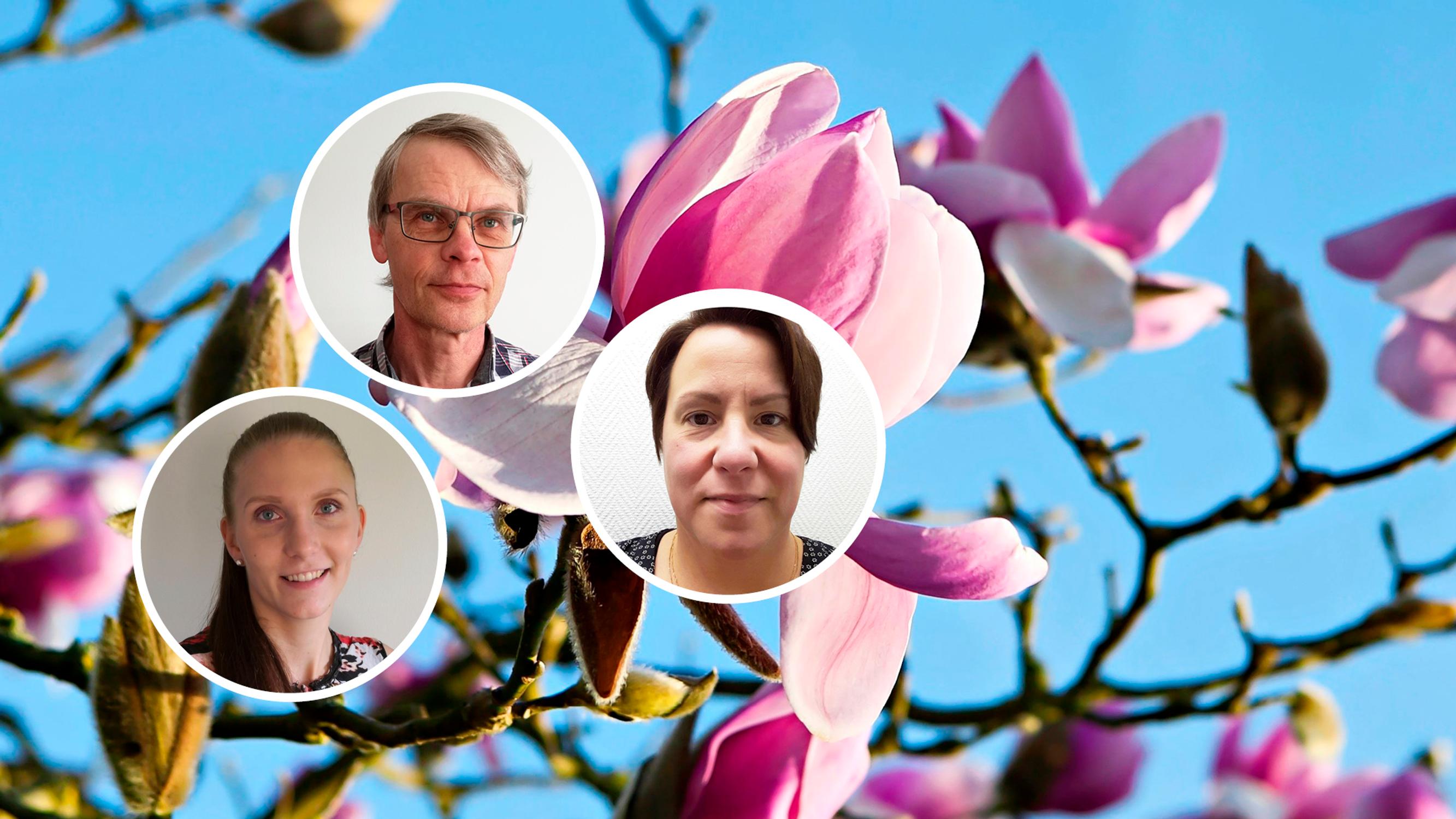 9 best flowering trees that thrive in colder climates