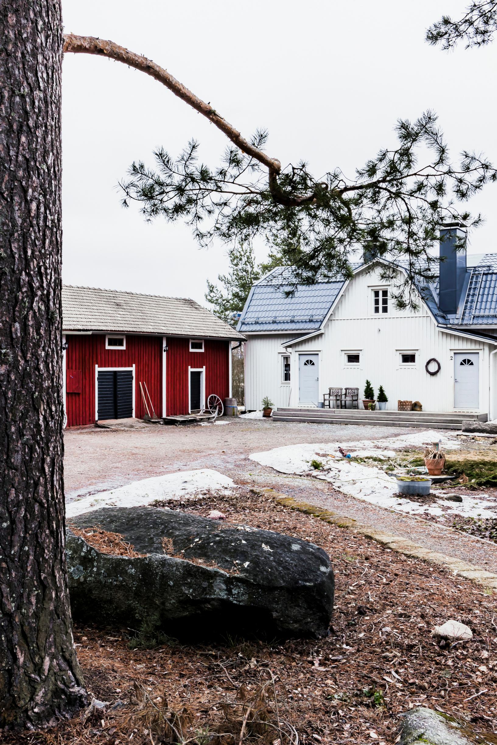 the yard of the old house