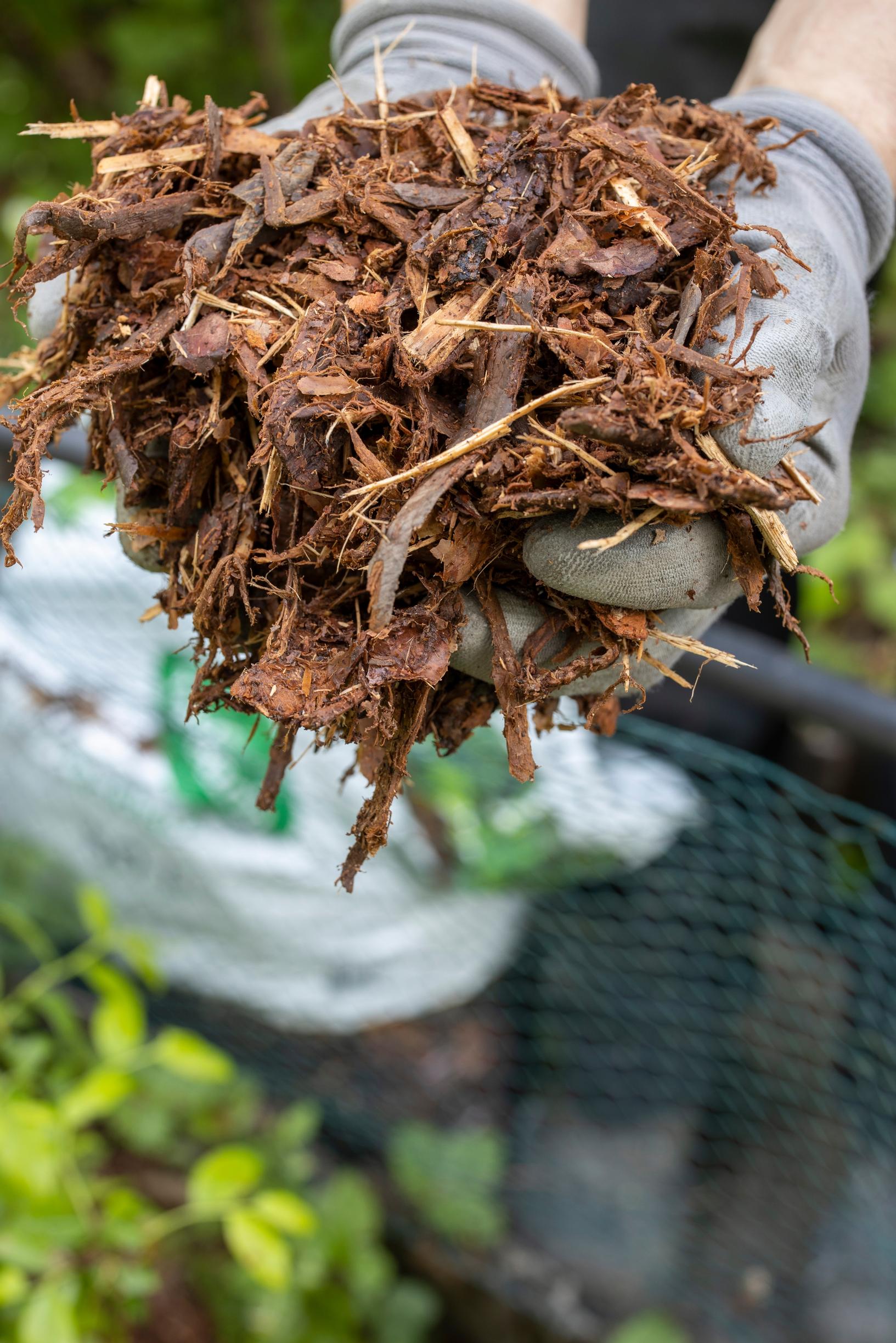 bark mulch