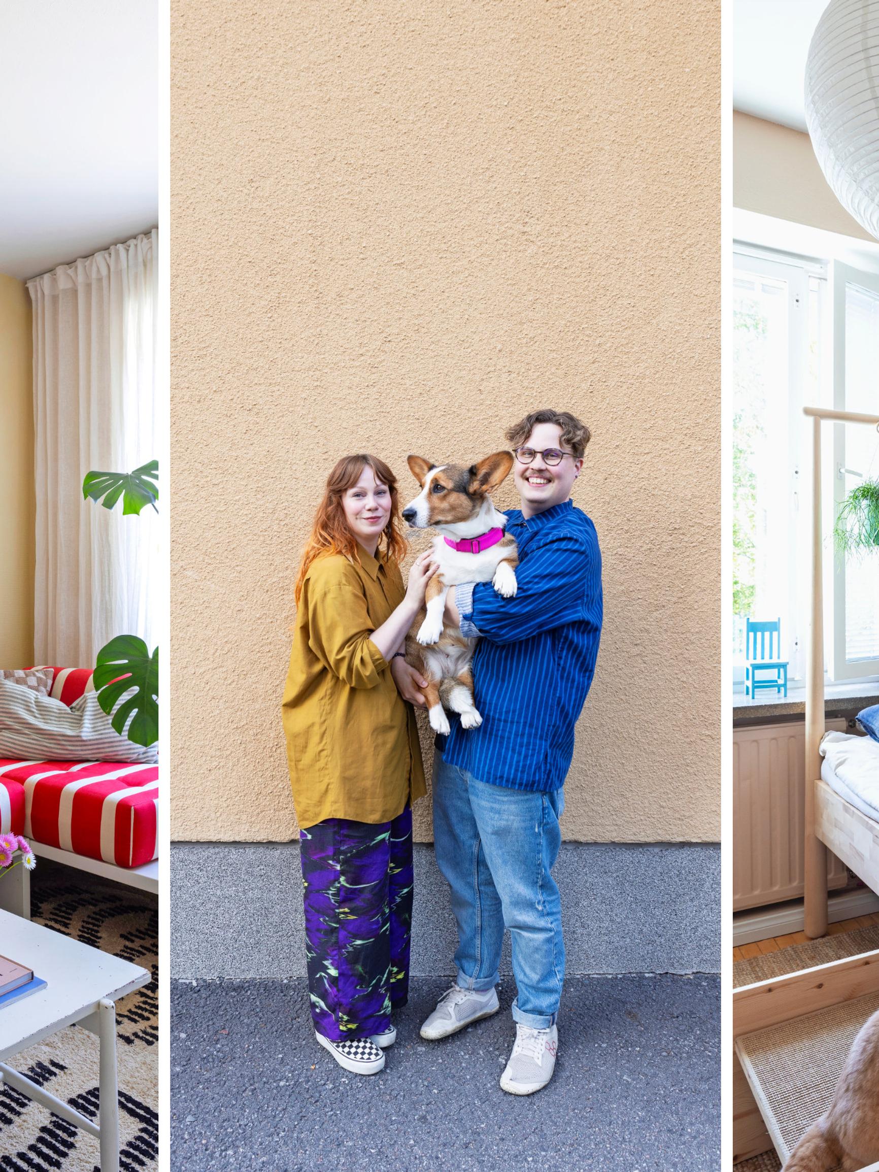 Steps to the bed for the dog, a climbing shelf for the cat: in this interior architect’s home, pets have their own furniture