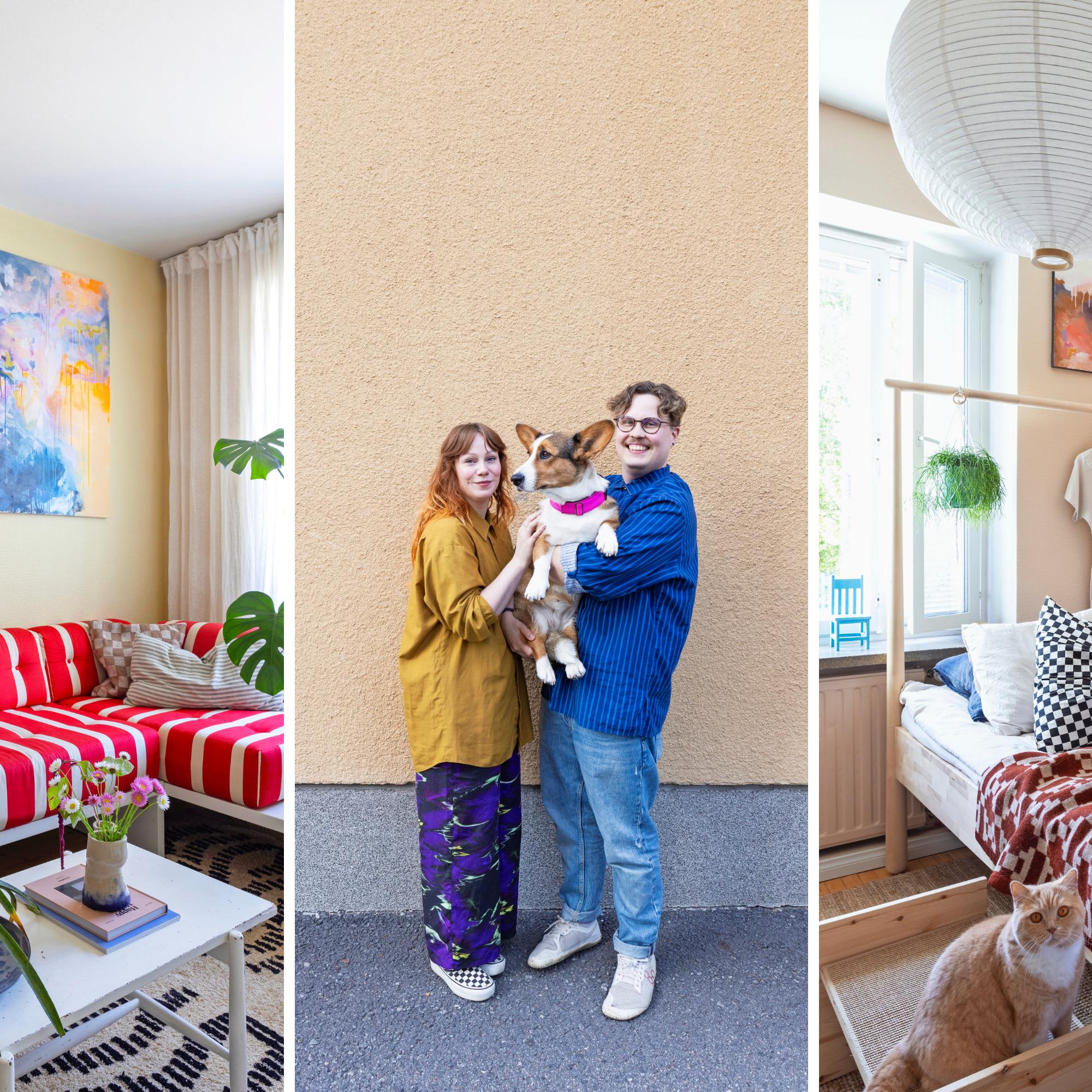 Steps to the bed for the dog, a climbing shelf for the cat: in this interior architect’s home, pets have their own furniture