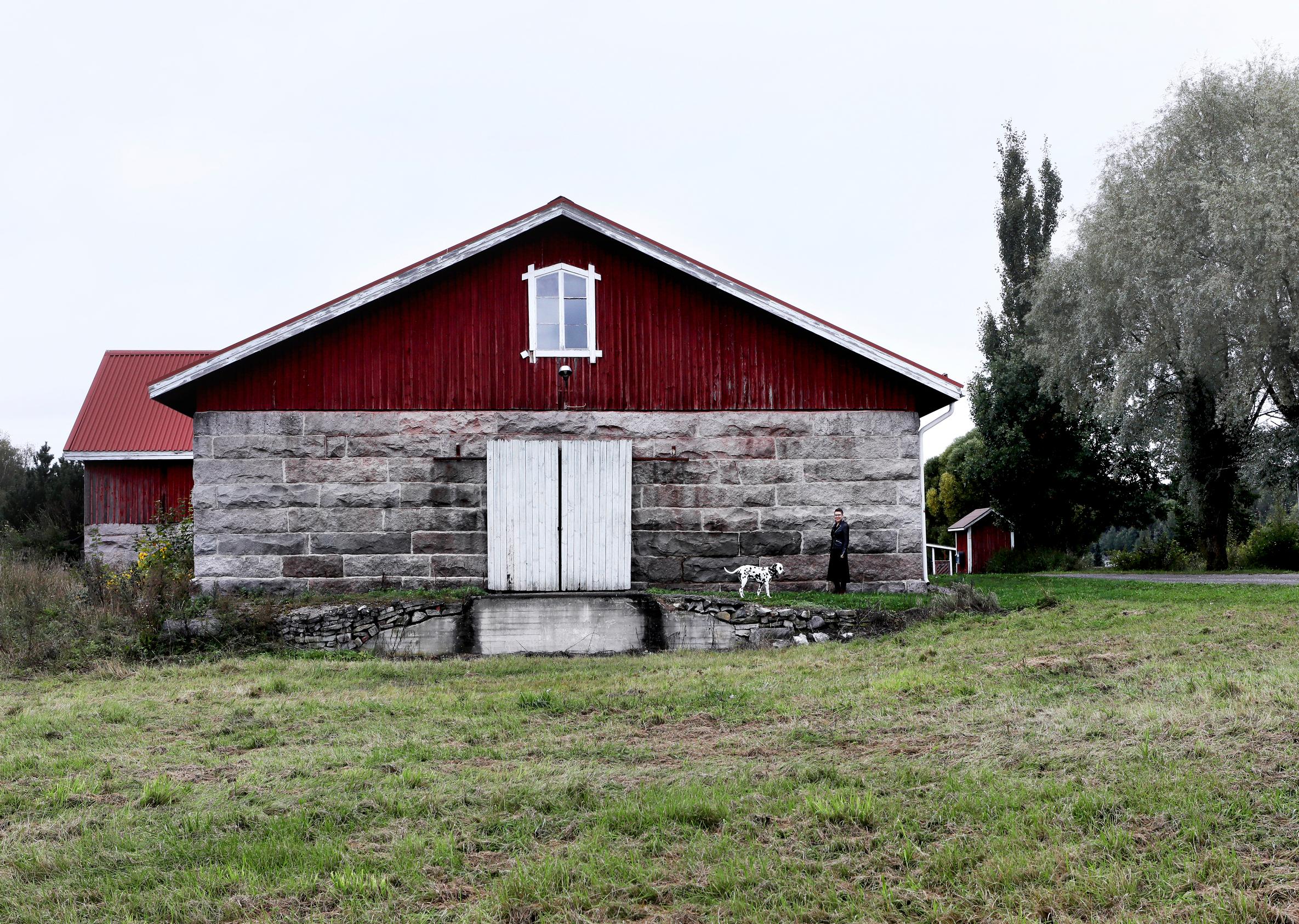 The yard of the old barn