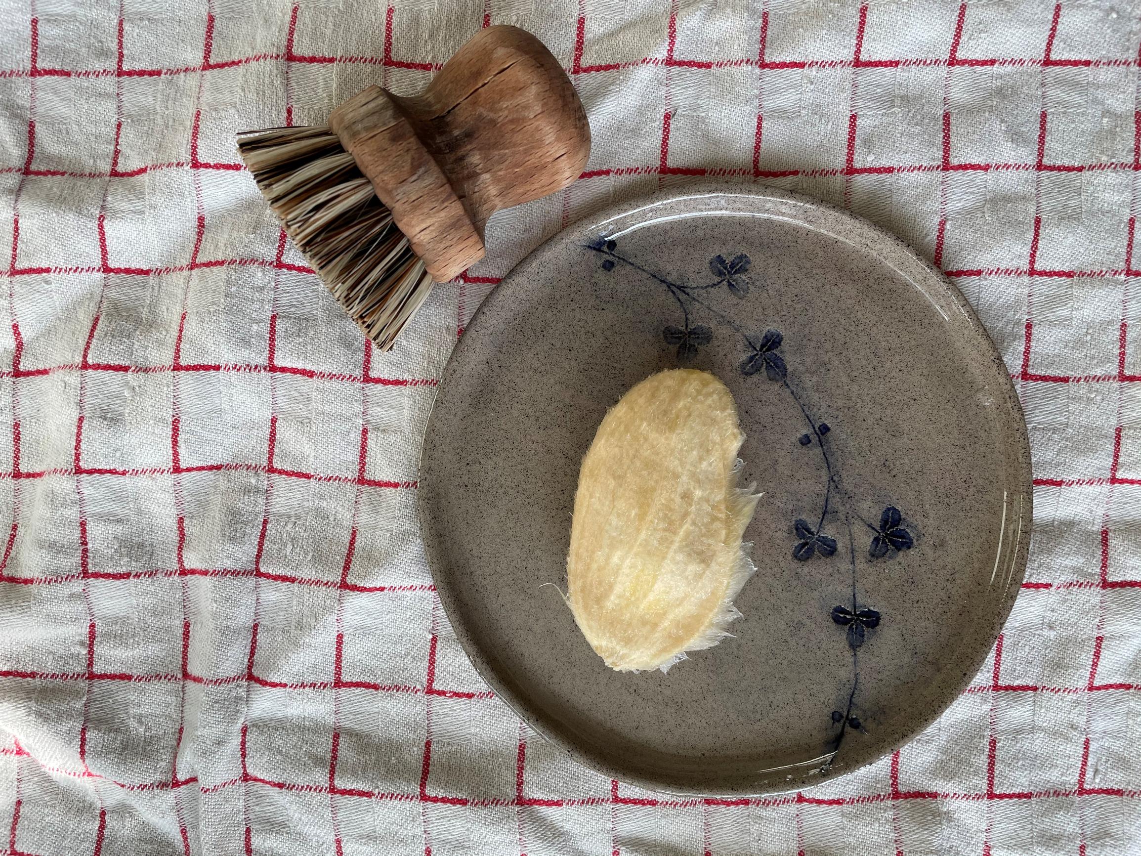 How to plant a mango seed from the fruit: Cleaned mango seed on a plate