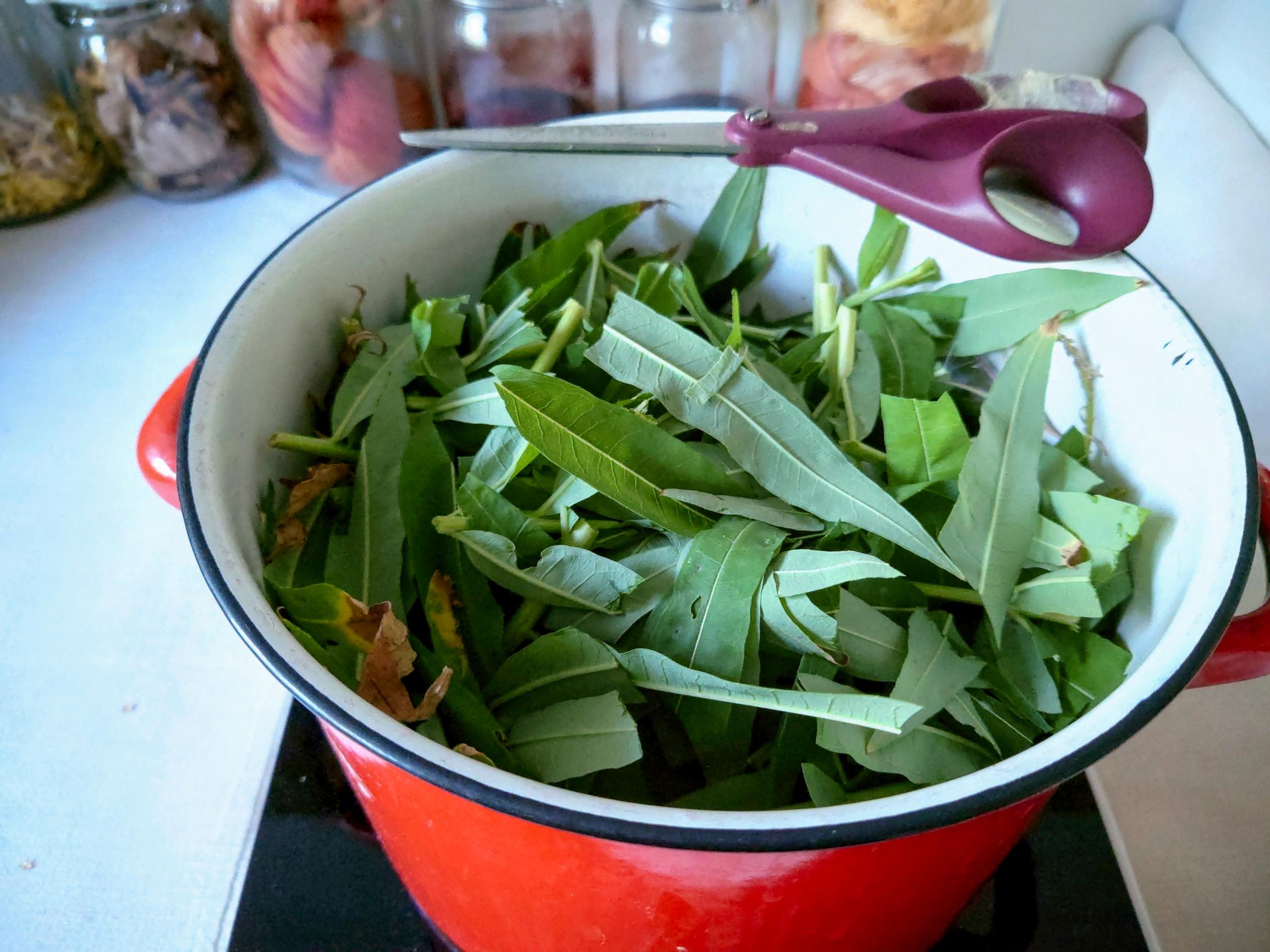 Chopped fireweed in a pot.
