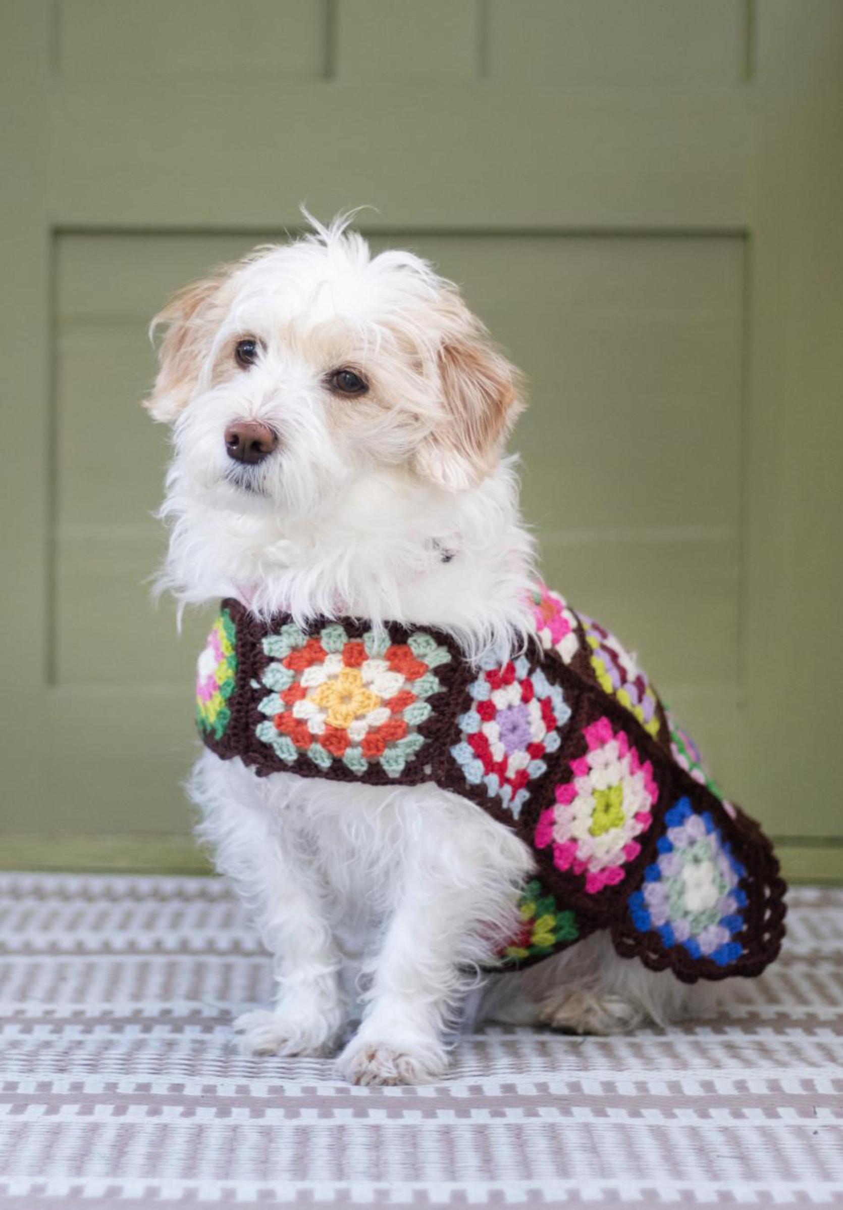 Dog sweater crocheted from granny squares