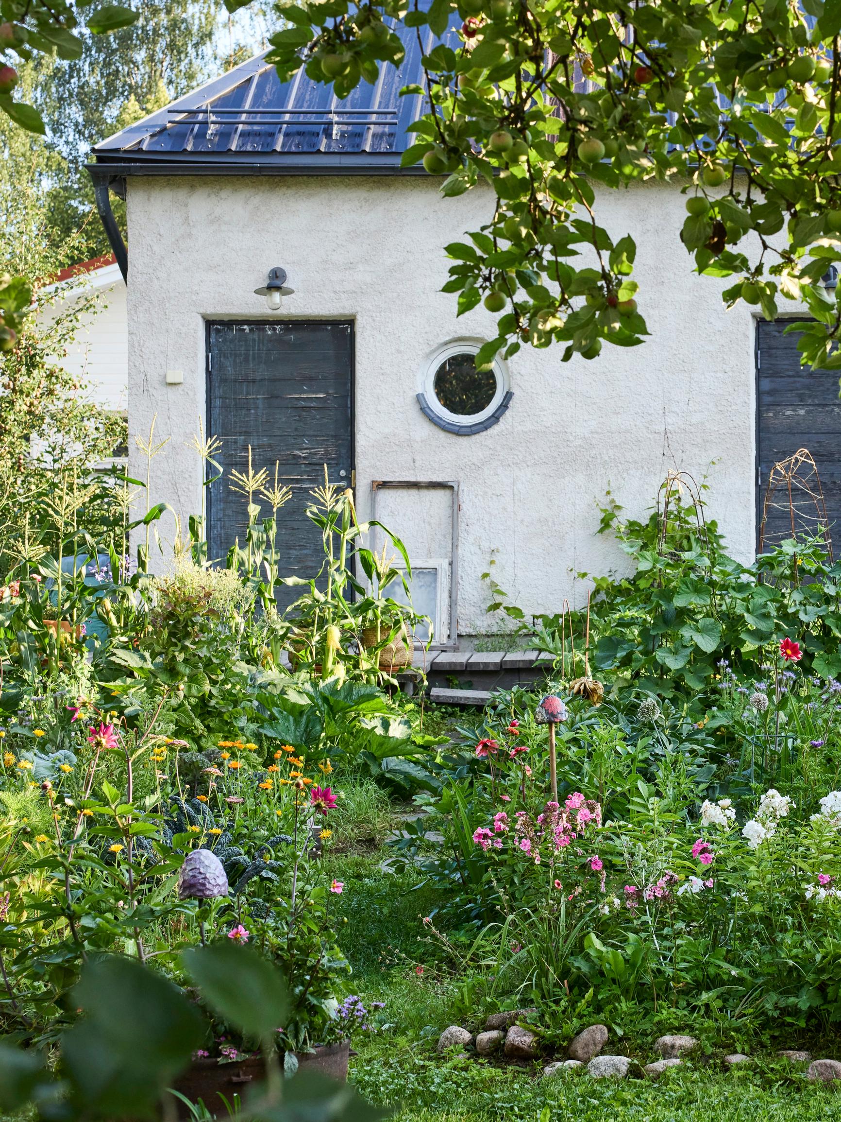 A remote office, a DIY pizza oven, and enchanting flowerbeds: step into Laura and Sampo’s garden