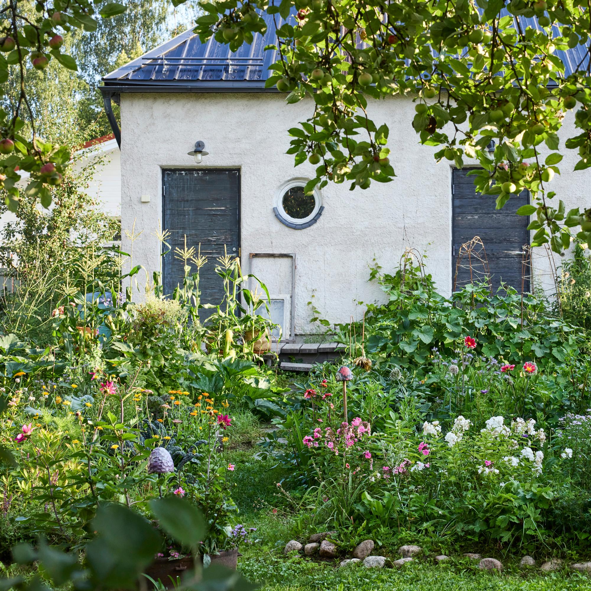 A remote office, a DIY pizza oven, and enchanting flowerbeds: step into Laura and Sampo’s garden