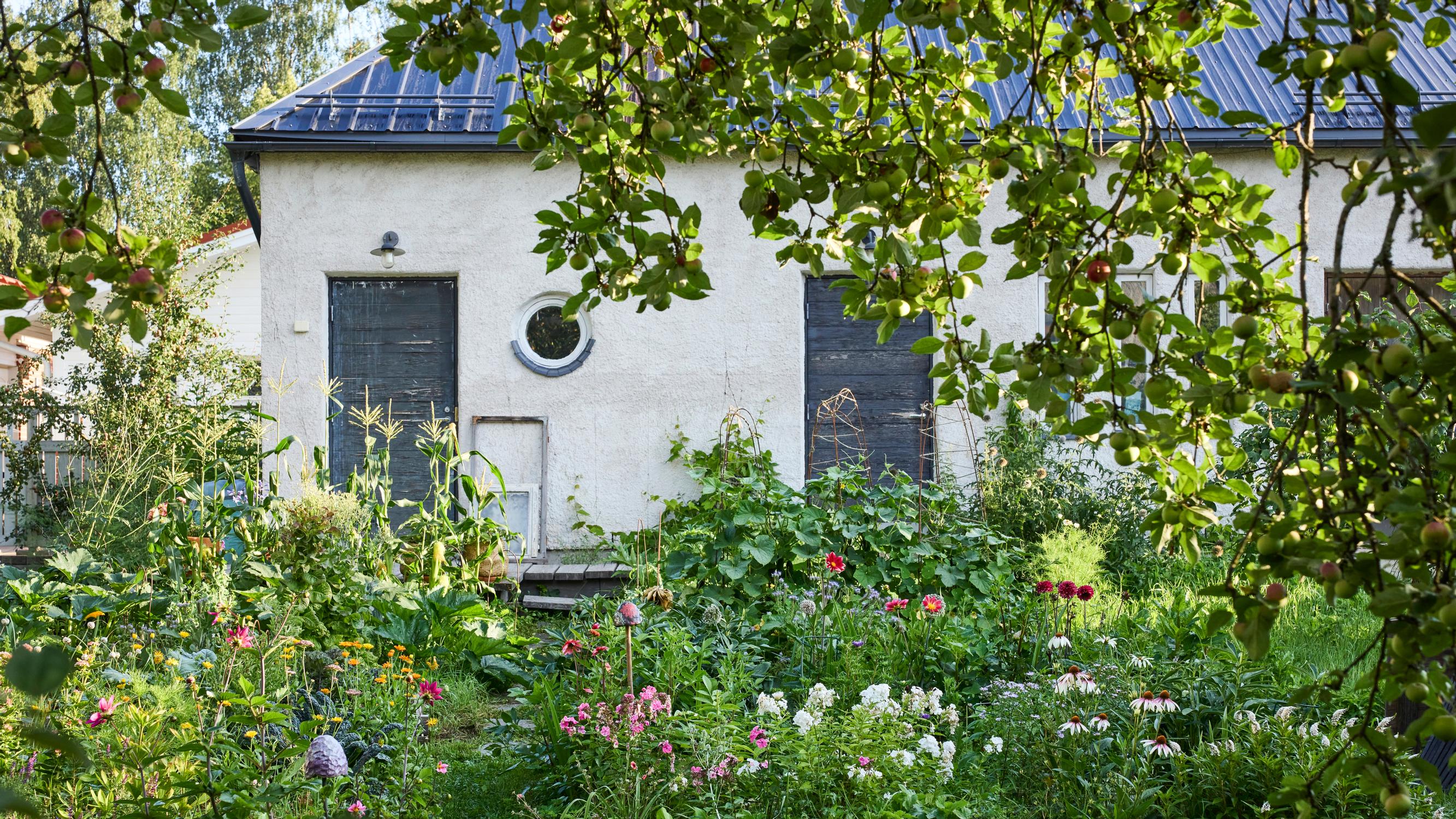 A remote office, a DIY pizza oven, and enchanting flowerbeds: step into Laura and Sampo’s garden