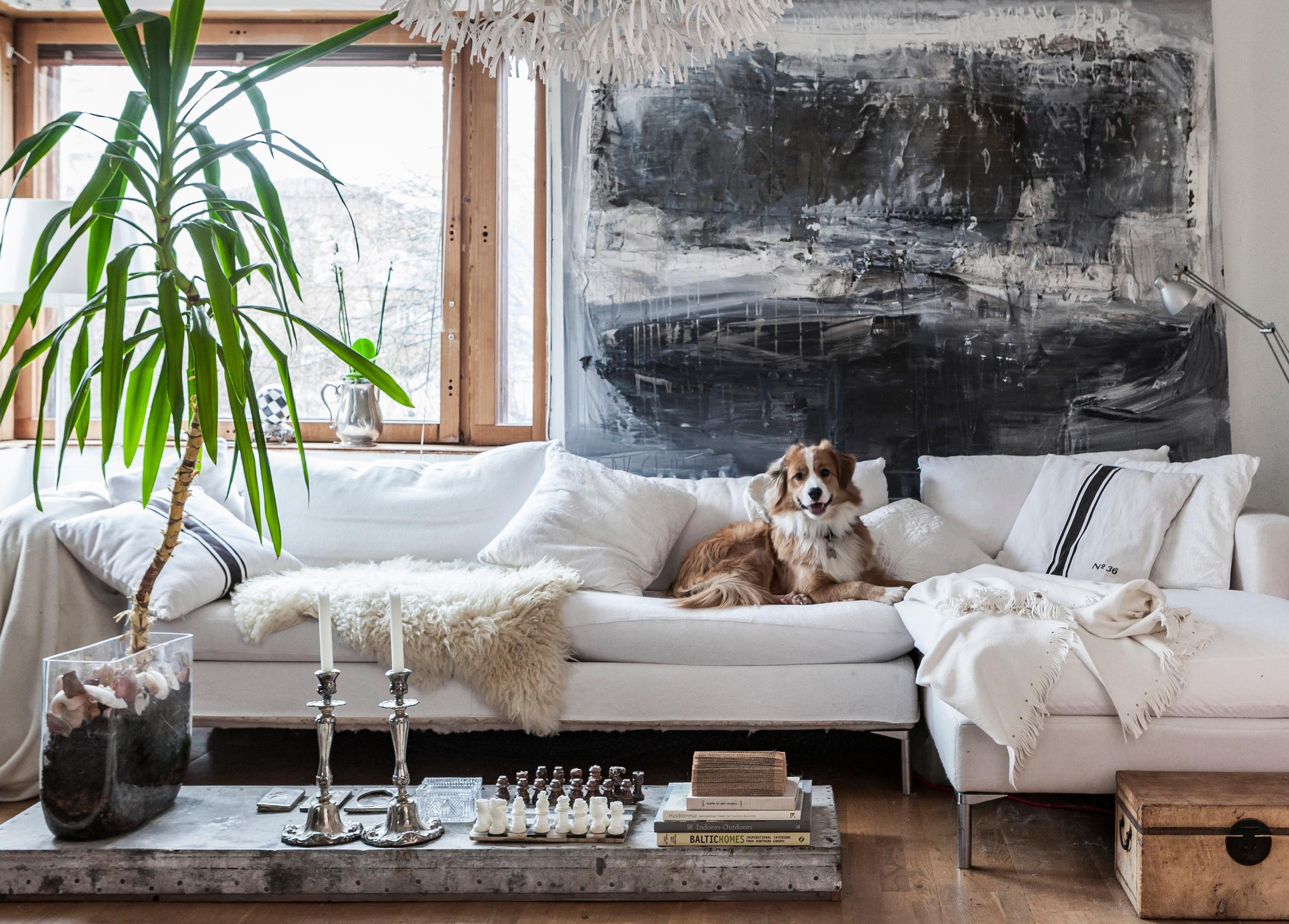 Deserted shack turned wabi-sabi haven—“A pinch of imperfection brings perfection”