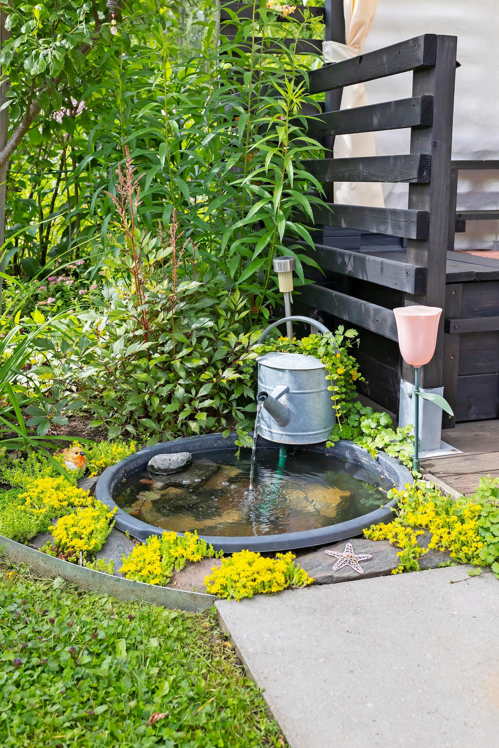 a metal watering can hung above a circular basin, with perennials all around