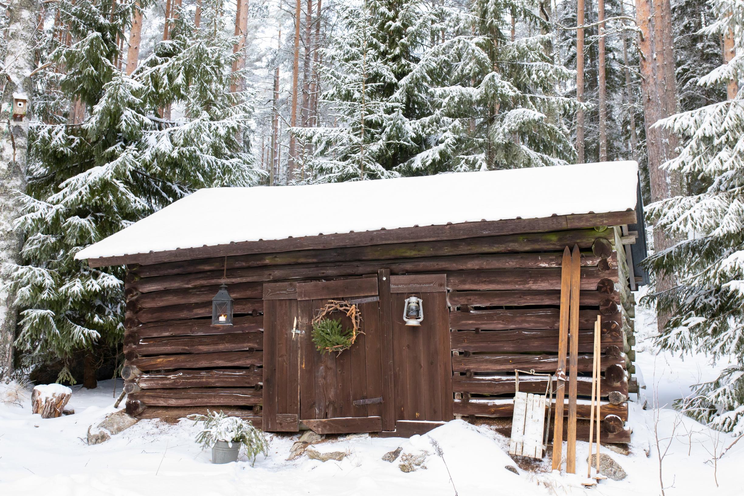 Old wood shed in the garden